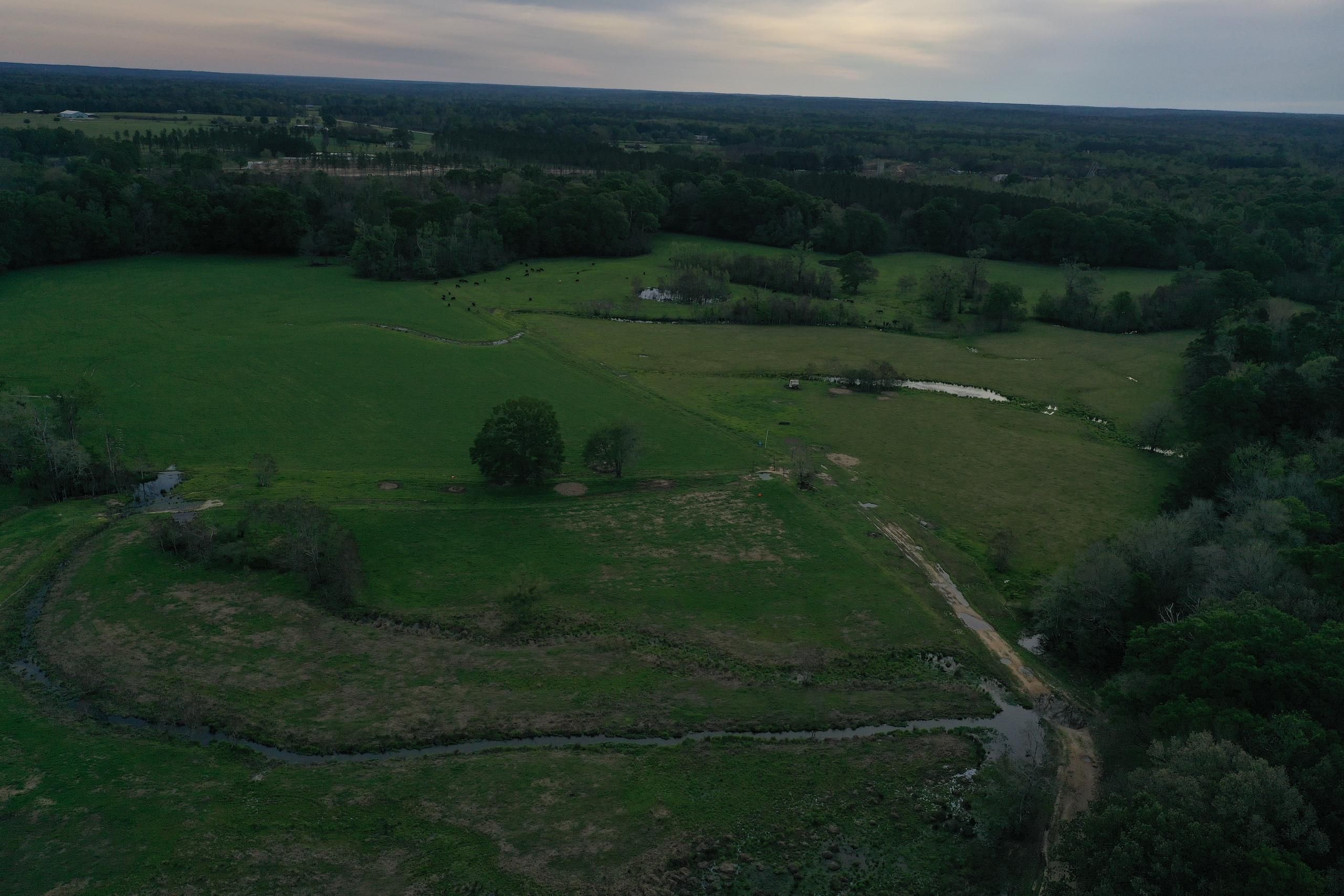 Kentwood, Tangipahoa Parish, LA Hunting Property for sale Property ID