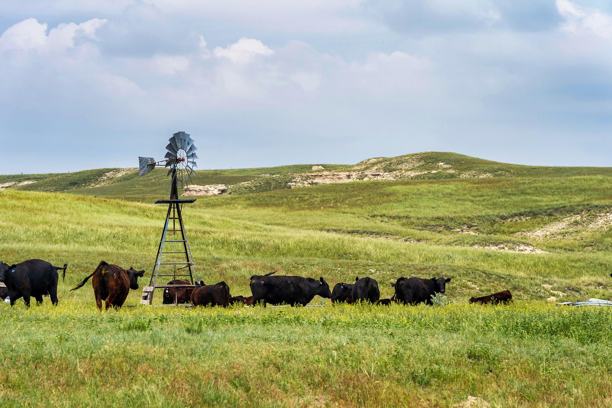 U.S. 385, Hemingford, NE 69348 LandWatch