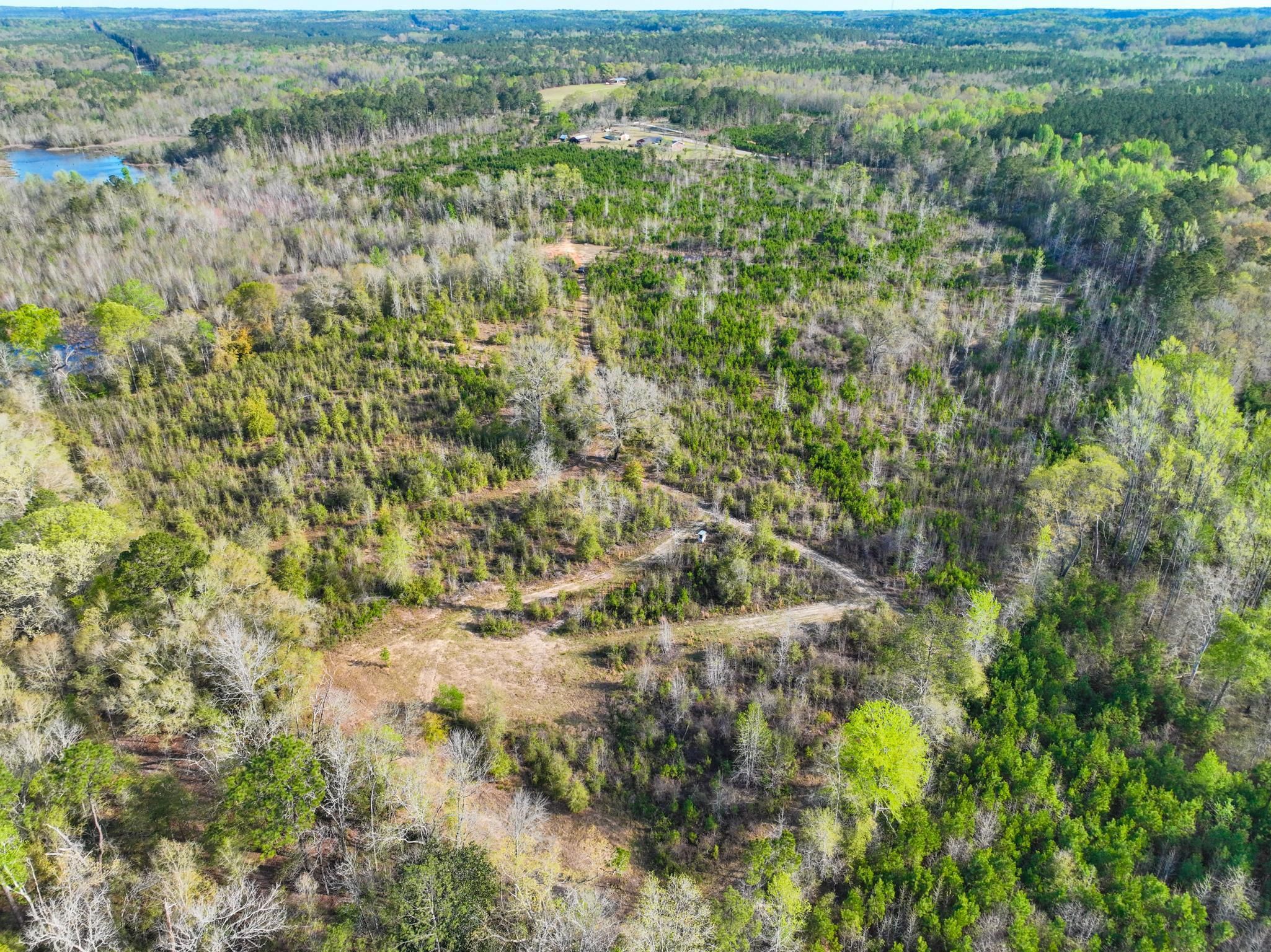 Gordon, Twiggs County, GA Recreational Property, Timberland Property
