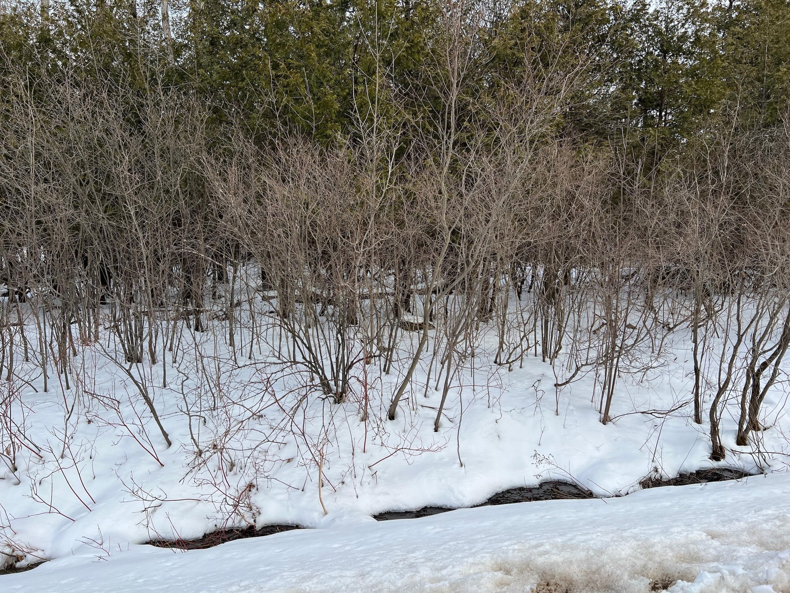 Fort Jackson, Saint Lawrence County, NY Farms and Ranches, Hunting Property for sale Property ID