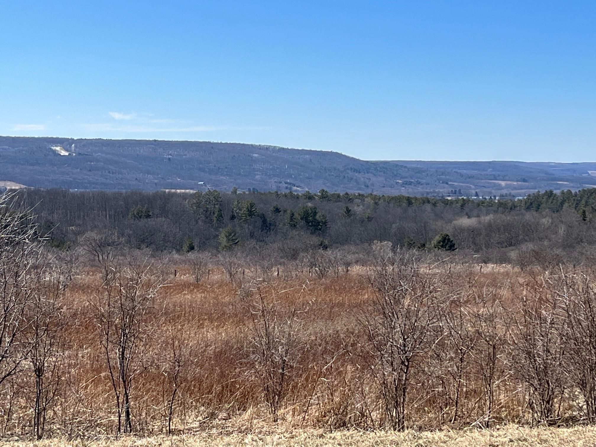 Angelica, Allegany County, NY Farms and Ranches, Hunting Property for