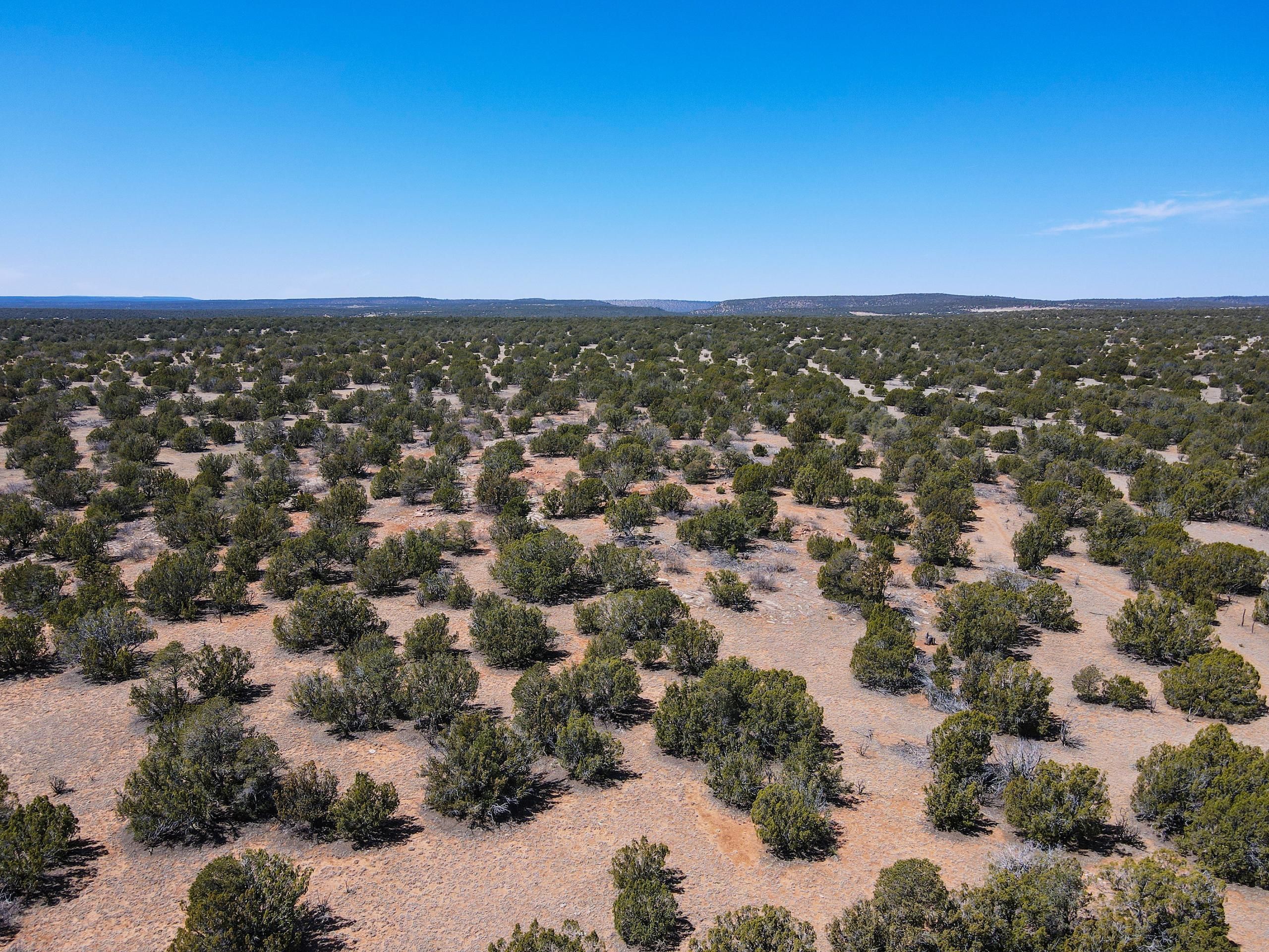 Villanueva, San Miguel County, NM Farms and Ranches, Hunting Property