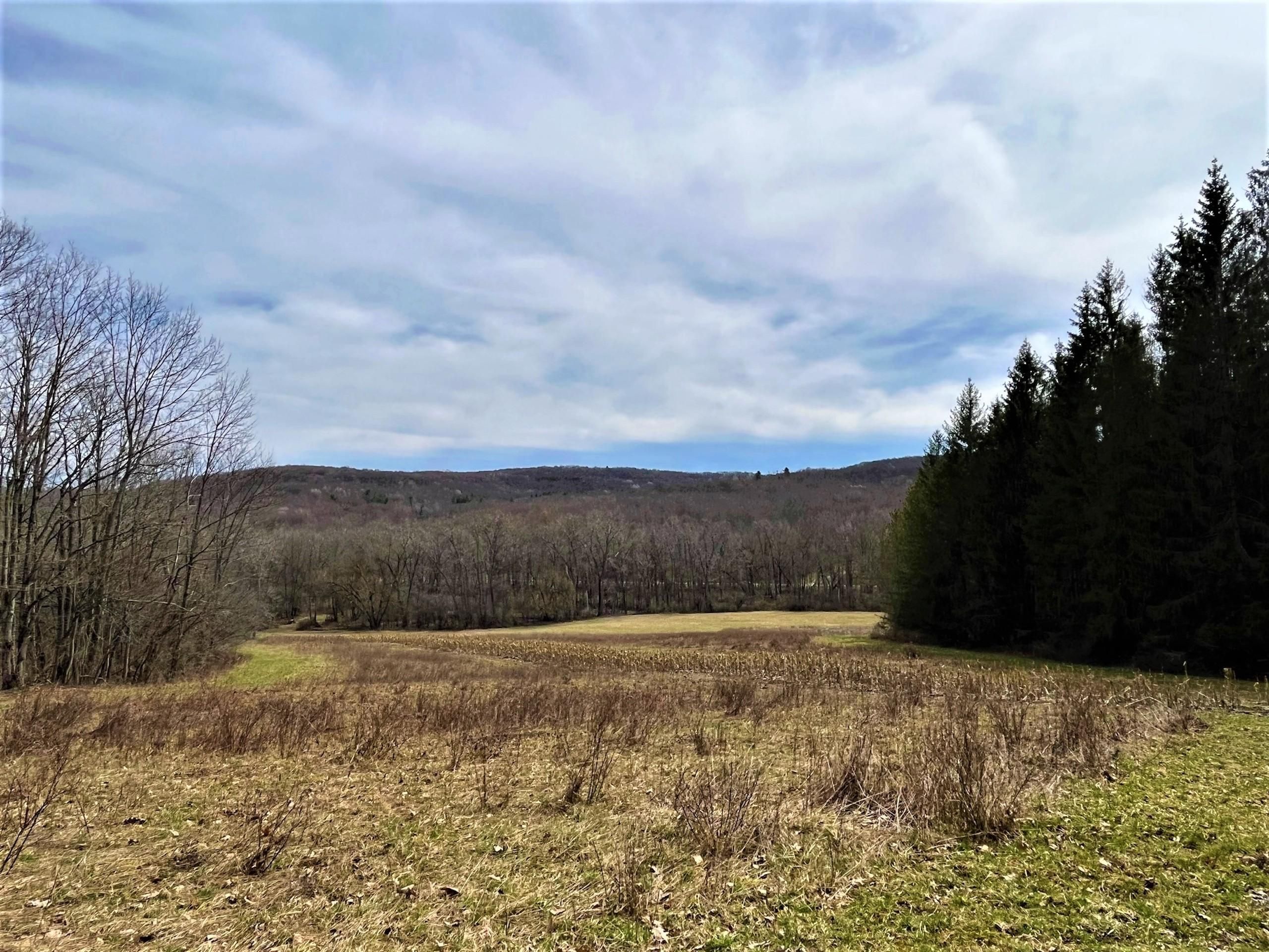 Almond, Allegany County, NY Farms and Ranches, Recreational Property