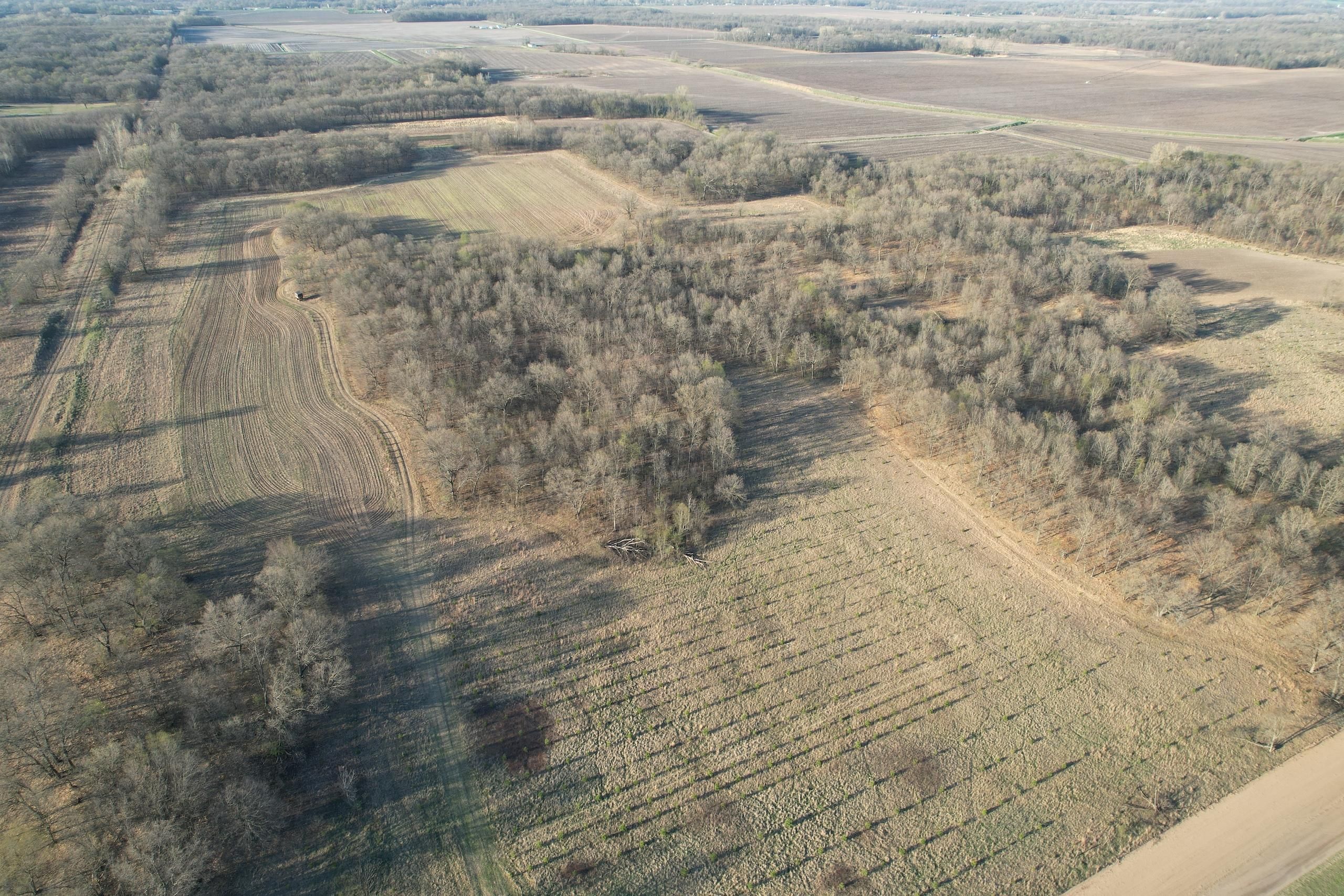 Saint Anne, Kankakee County, IL Farms and Ranches, Timberland Property, Hunting Property for