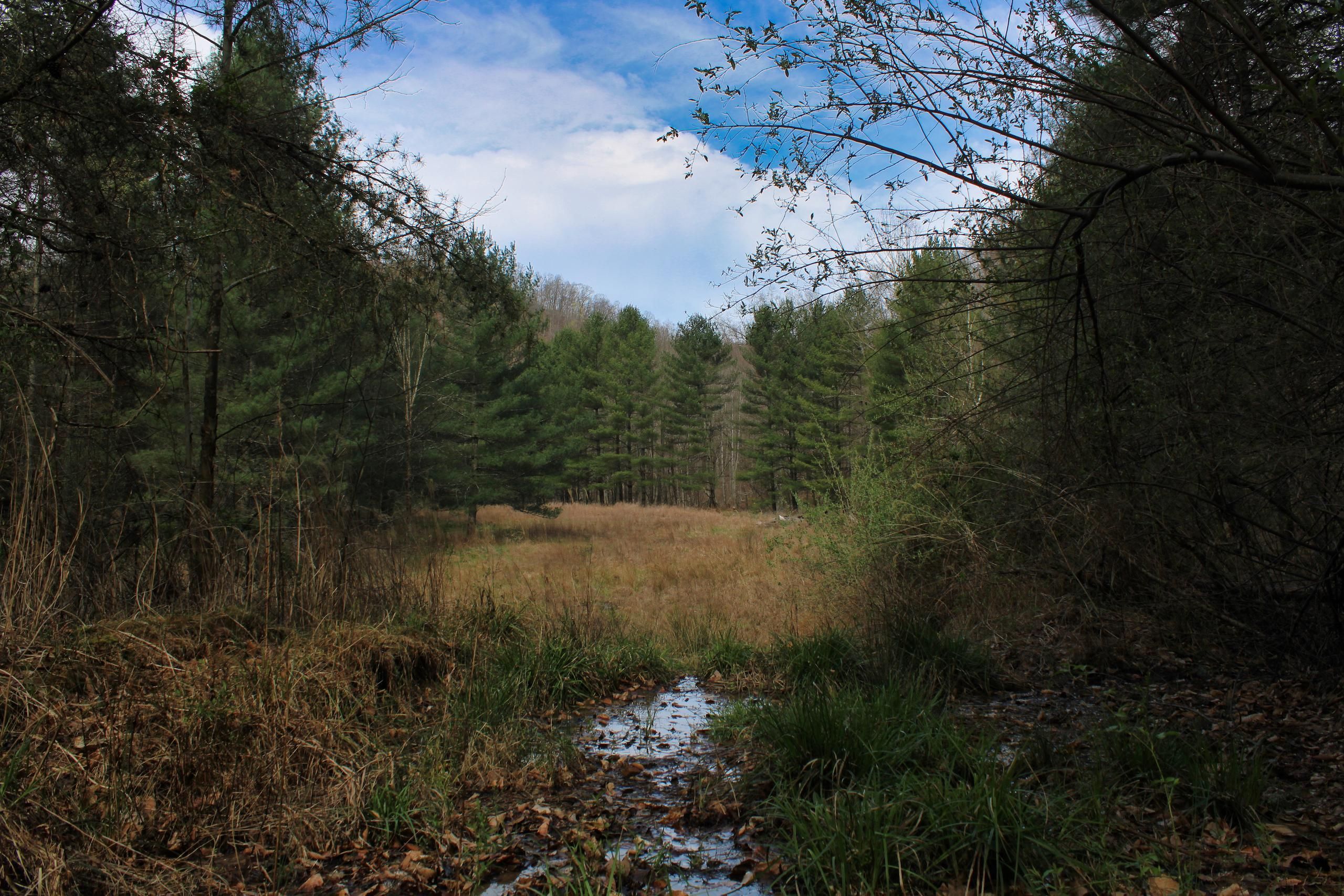 Hindman, Knott County, KY Recreational Property, Timberland Property