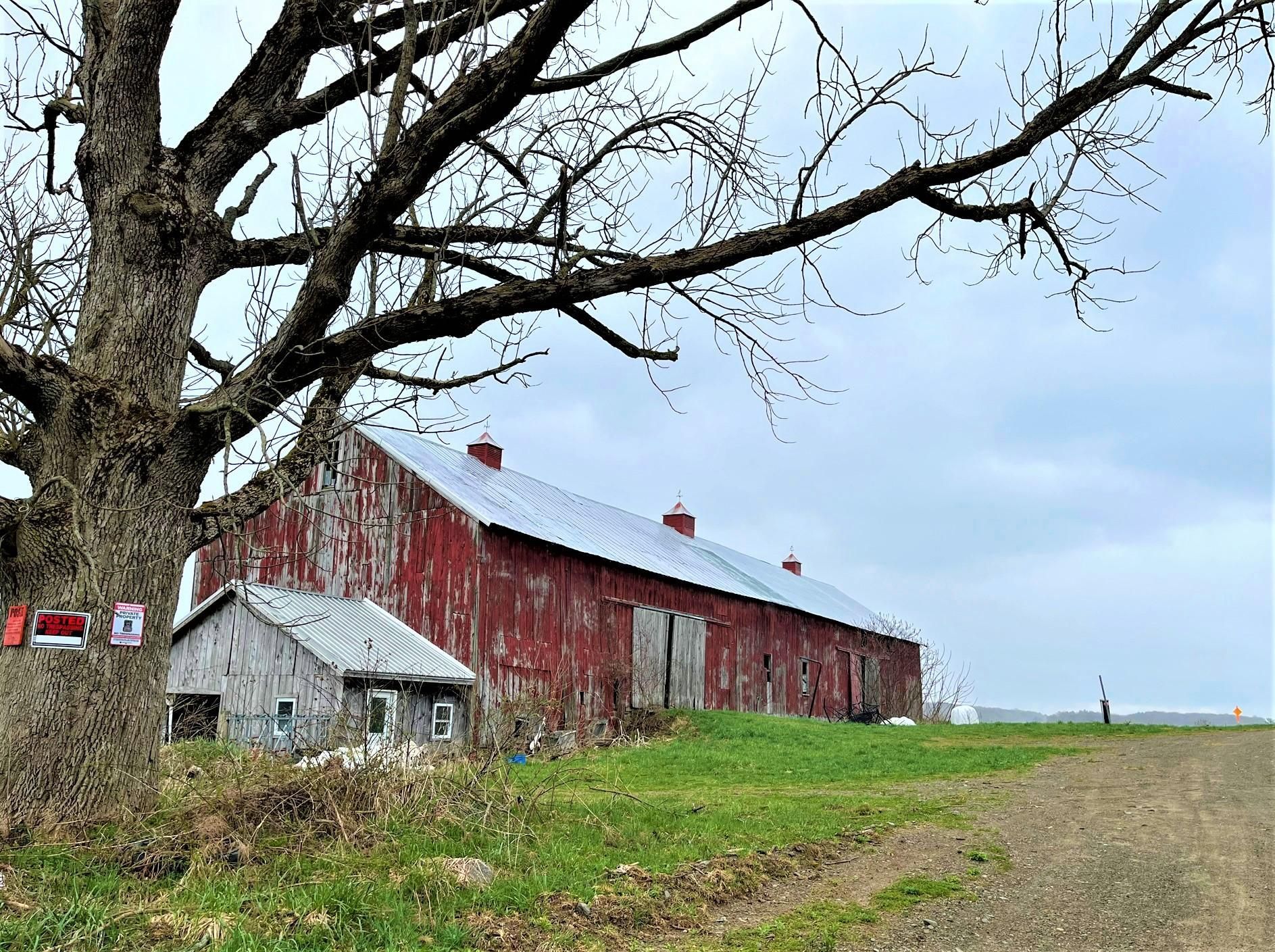 Sherman, Chautauqua County, NY Recreational Property, Timberland