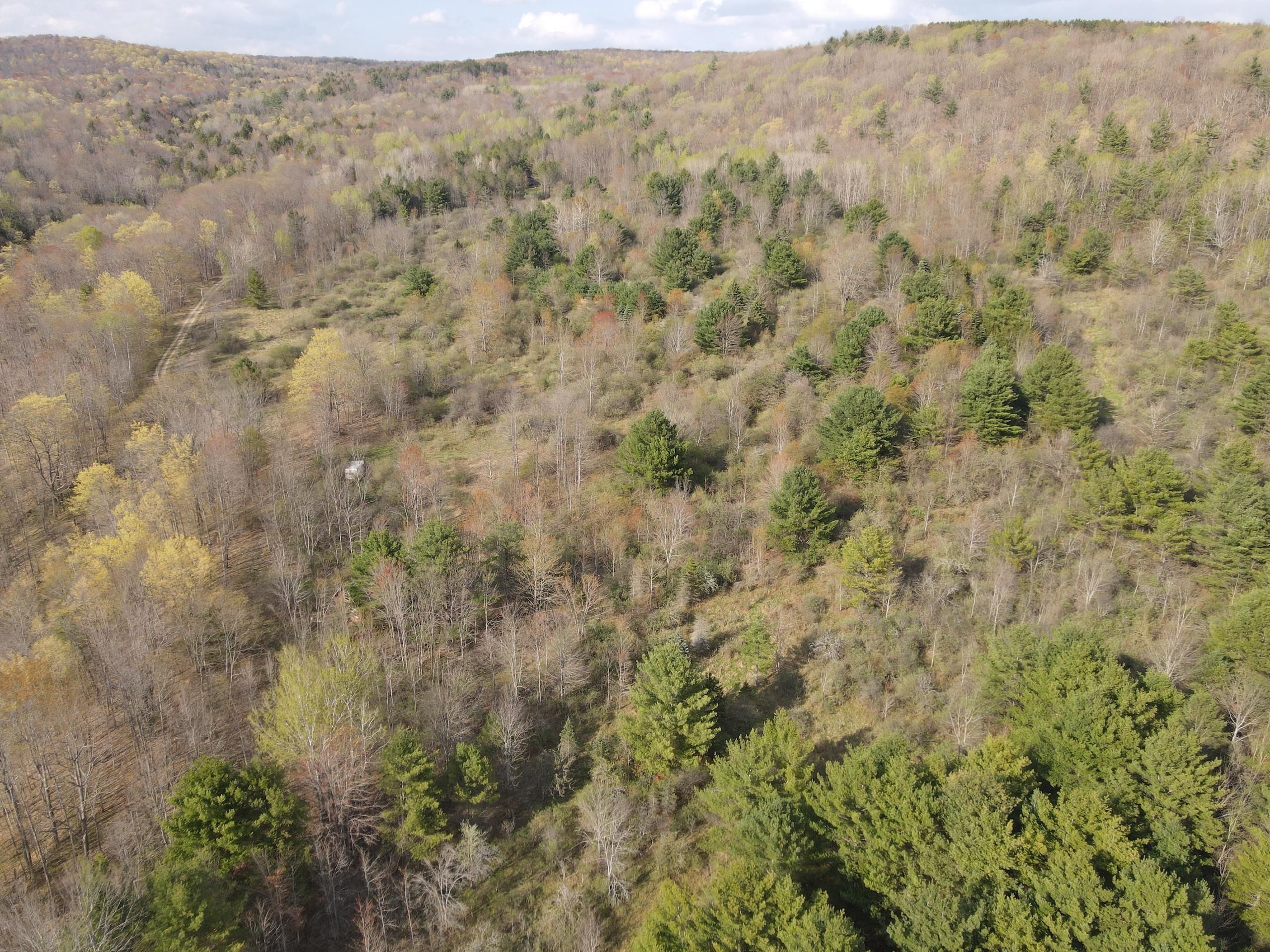 Scio, Allegany County, NY Recreational Property, Timberland Property