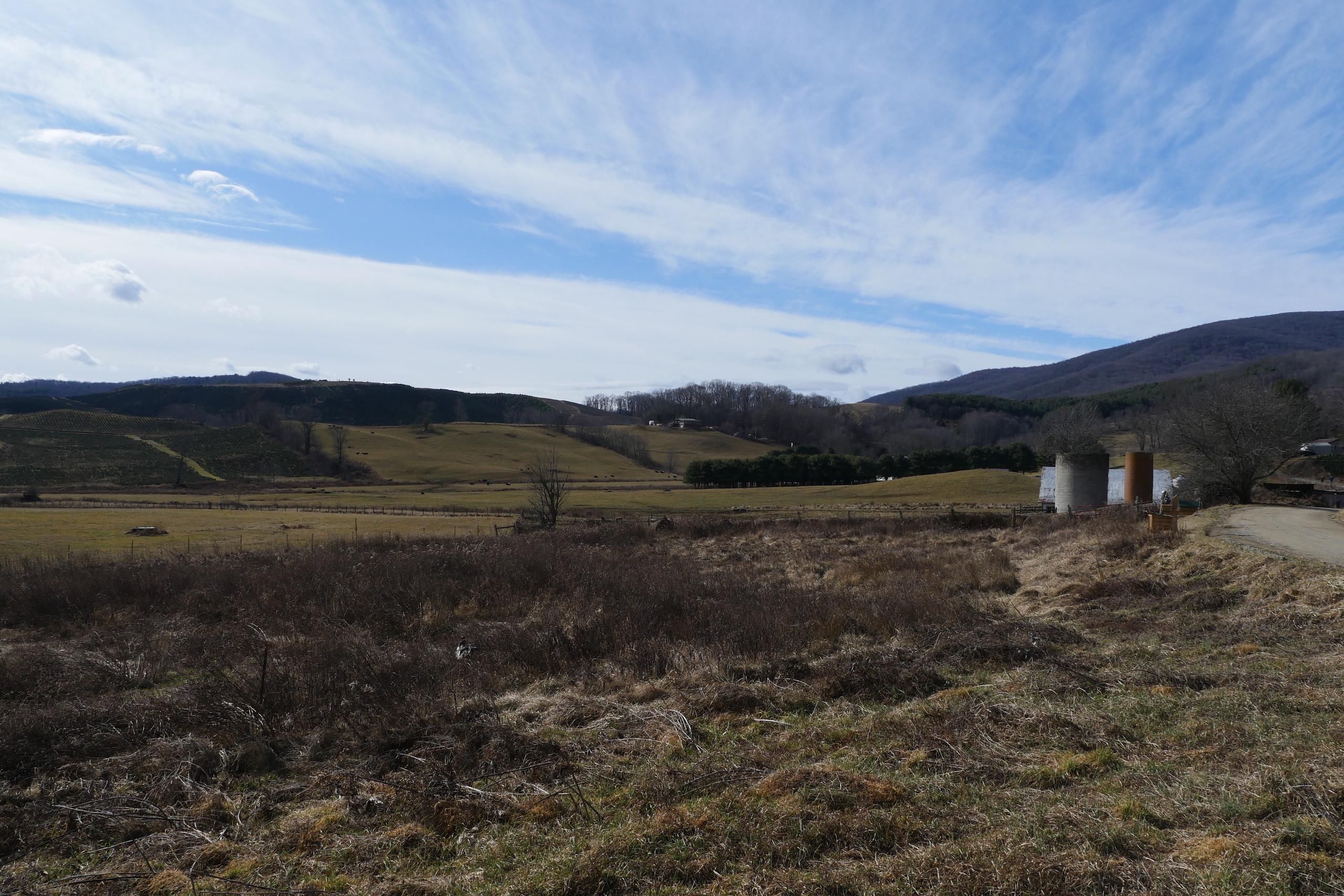 Troutdale, Grayson County, VA Recreational Property, Timberland