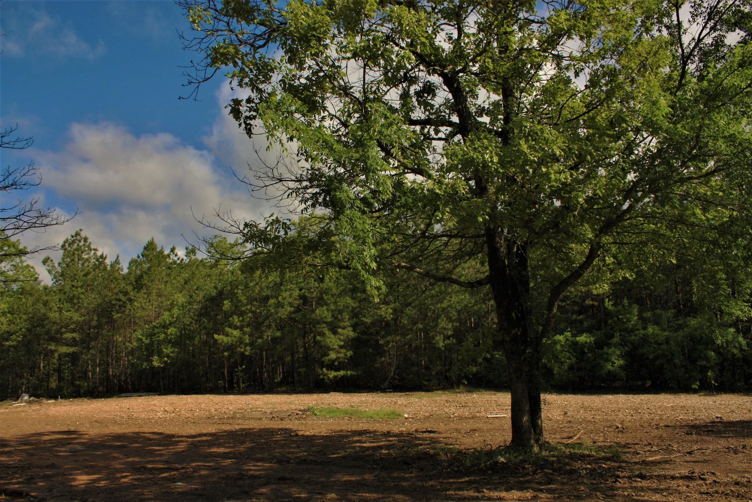 Lonsdale, Saline County, AR Farms and Ranches, Hunting Property for