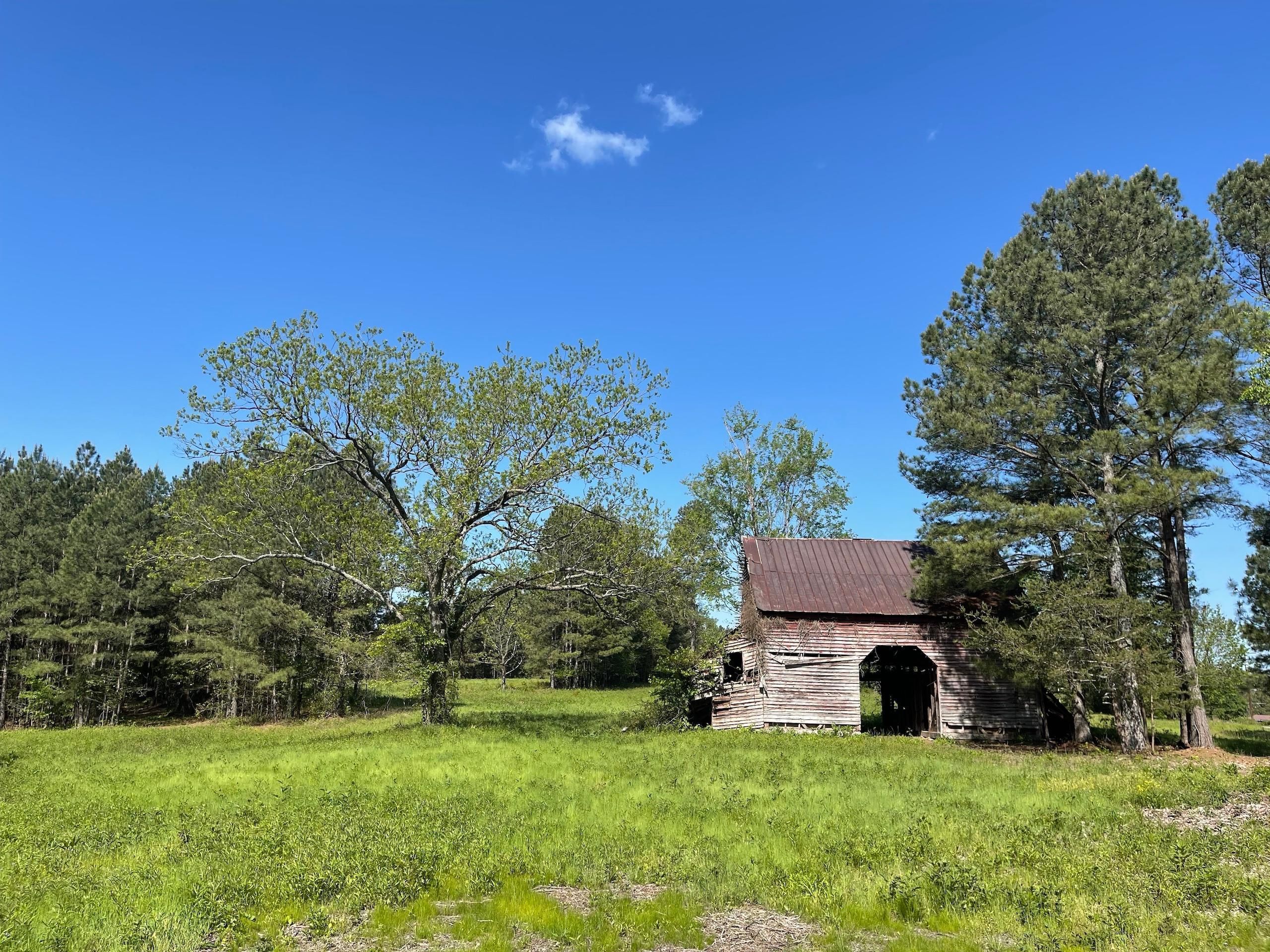 Lawndale, Cleveland County, NC Recreational Property, Timberland
