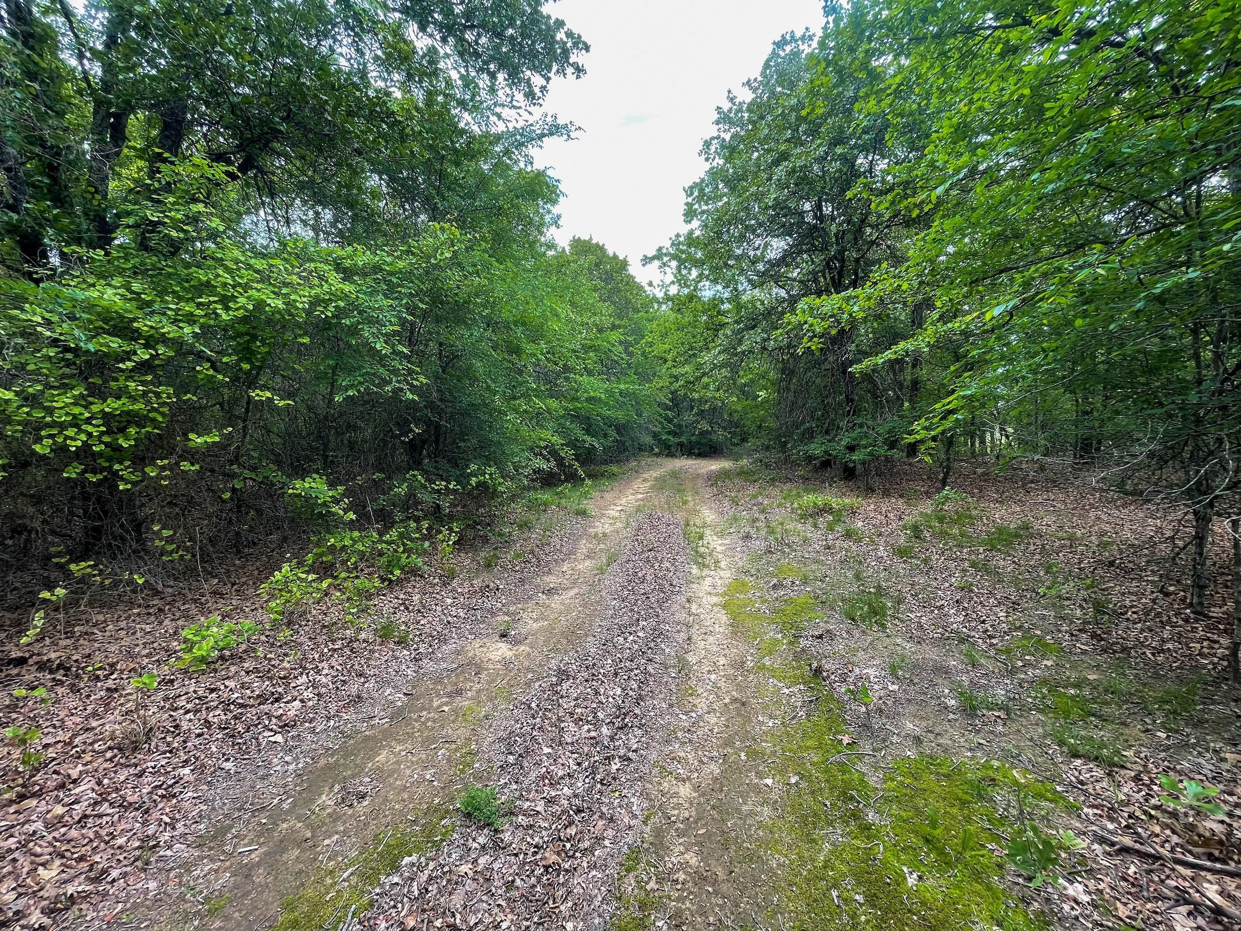 Stonewall, Pontotoc County, OK Farms and Ranches, Hunting Property for