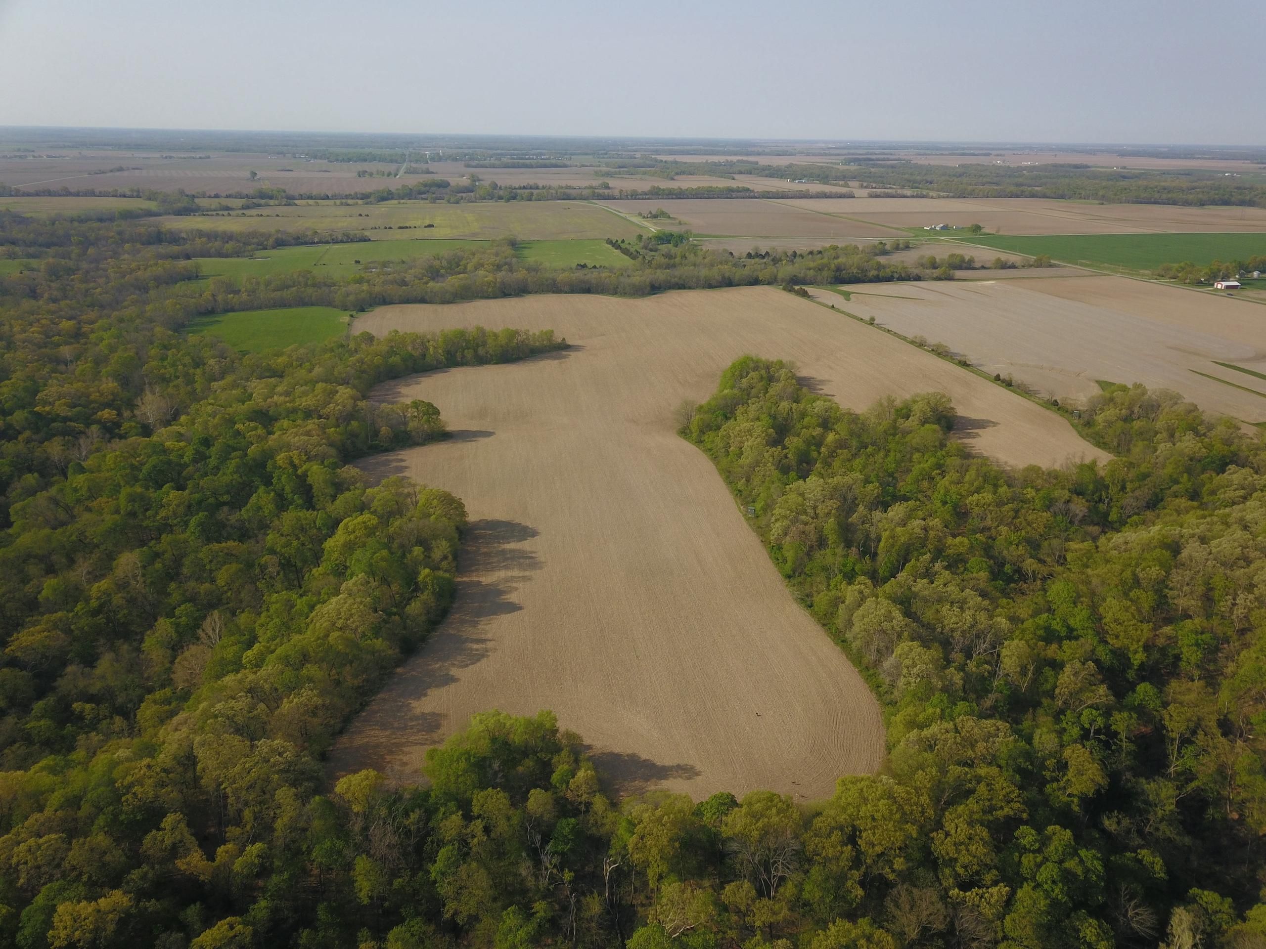 Center, Ralls County, MO Farms and Ranches, Timberland Property