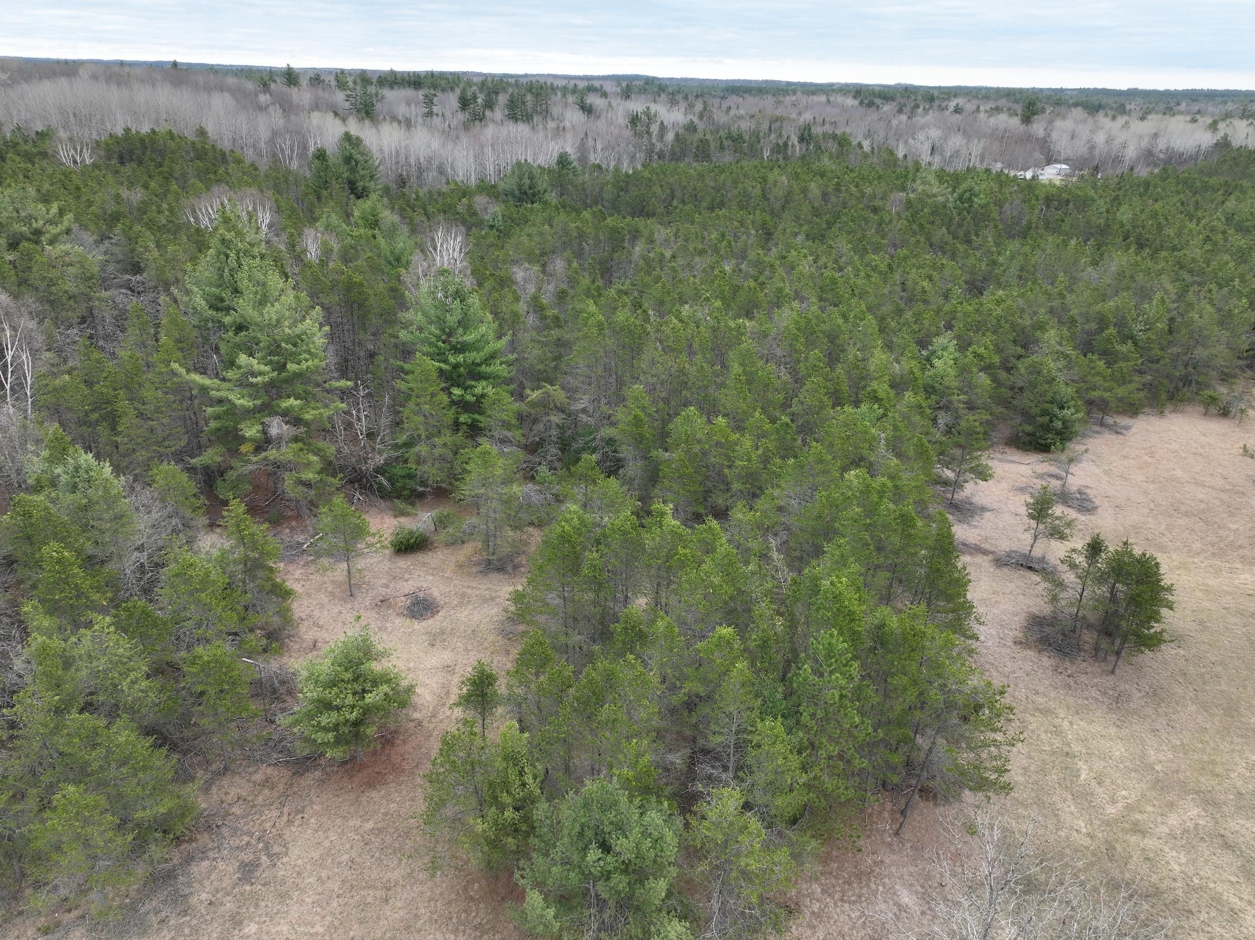 Pembine, County, WI Farms and Ranches, Hunting Property for