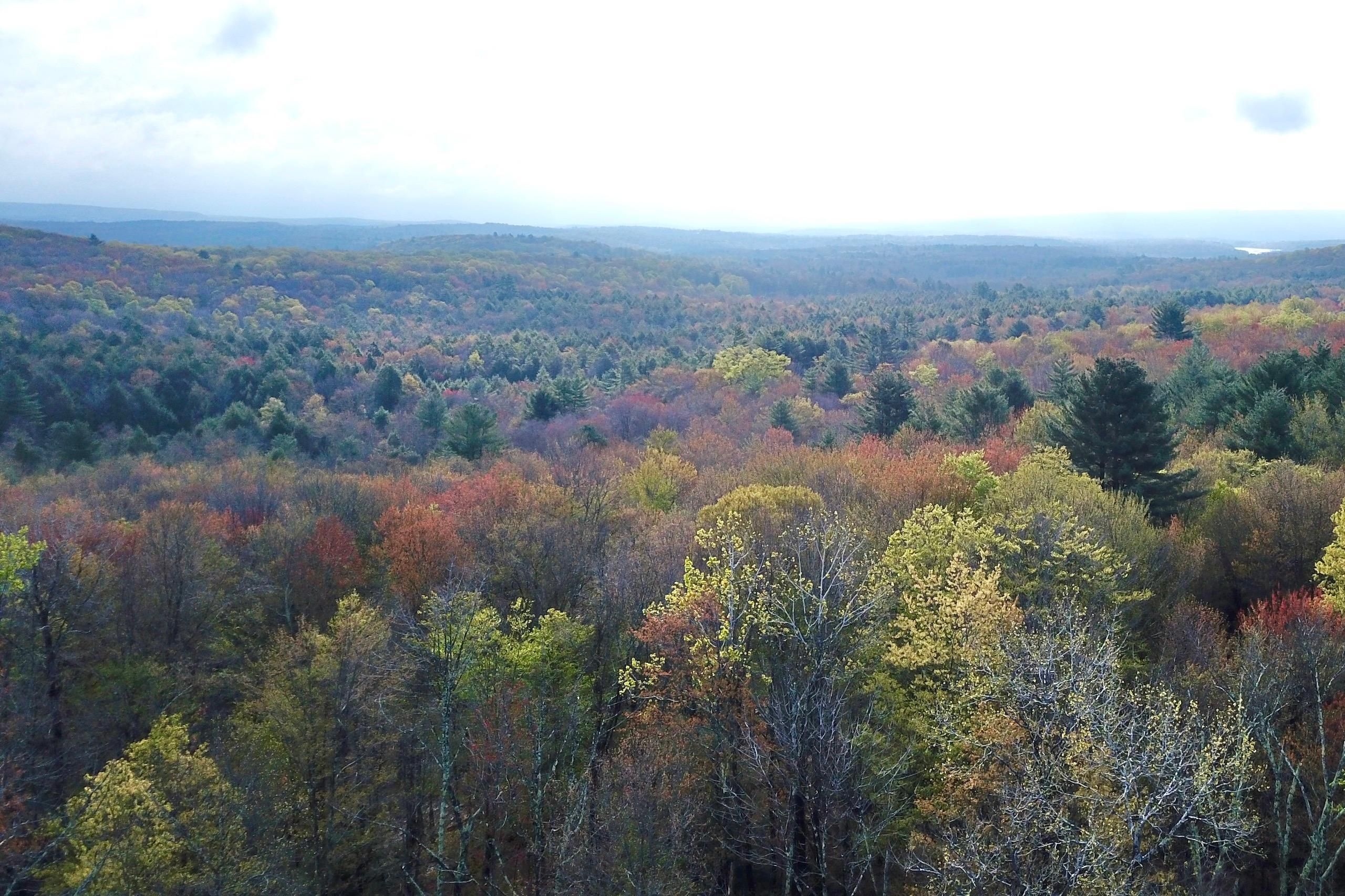 Woodbourne, Sullivan County, NY Recreational Property, Timberland