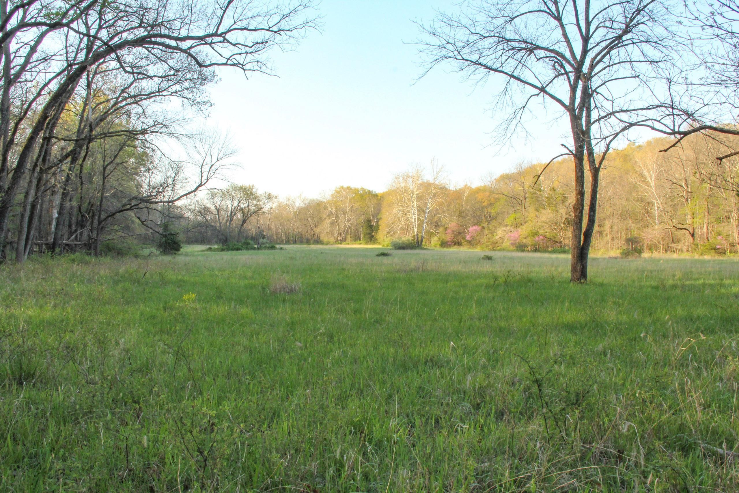 CR 177, LotWP001, New Florence, MO 63363 LandWatch