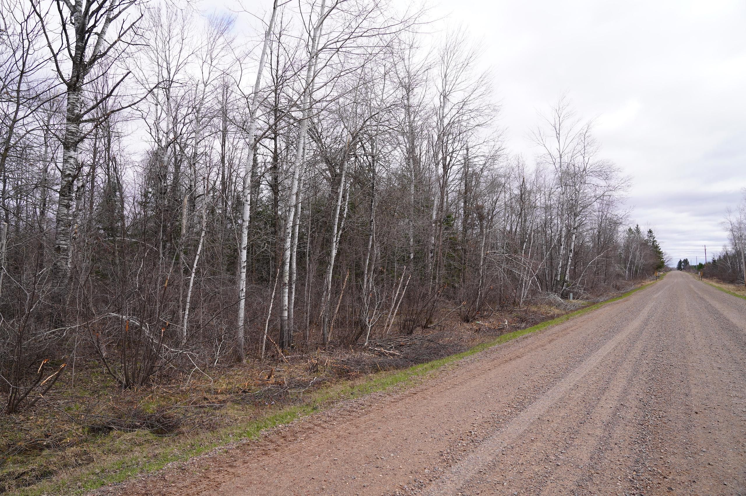 Bruce, Rusk County, WI Farms and Ranches, Hunting Property for sale Property ID 416388790