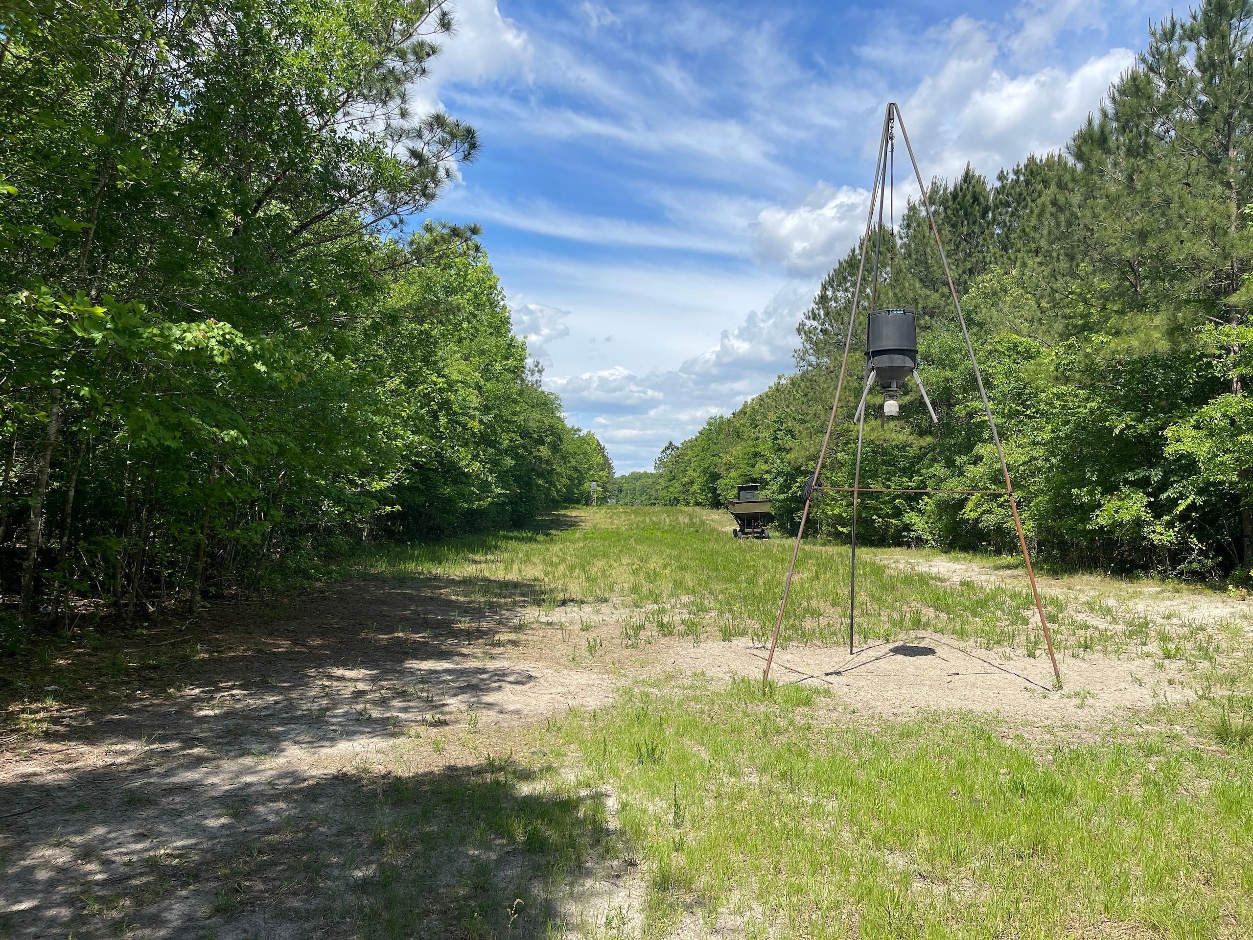 Off Privacy Lane, Lot WP001, Washington, NC 27889 LandWatch