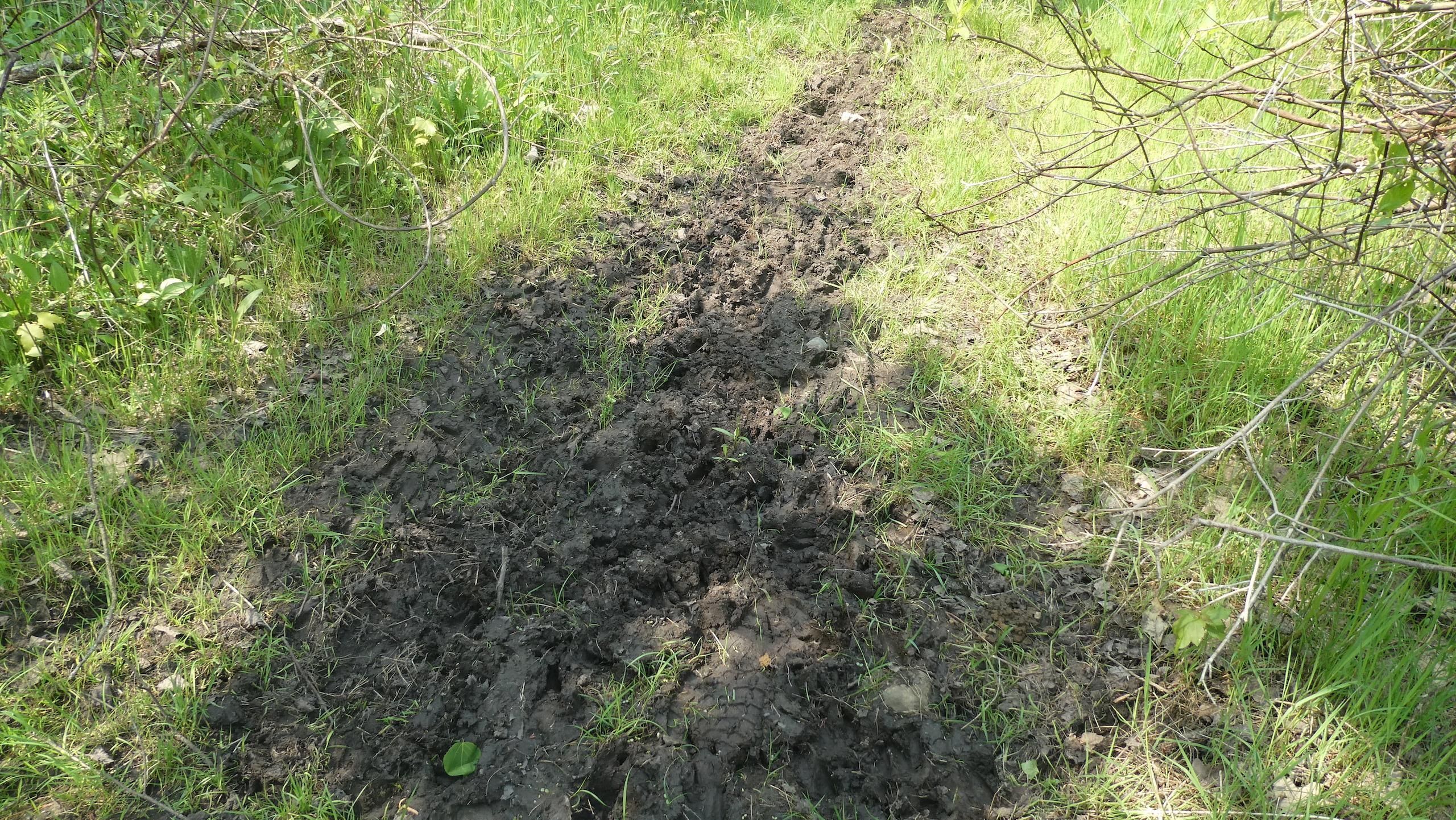 Riverdale, Gratiot County, MI Recreational Property, Timberland