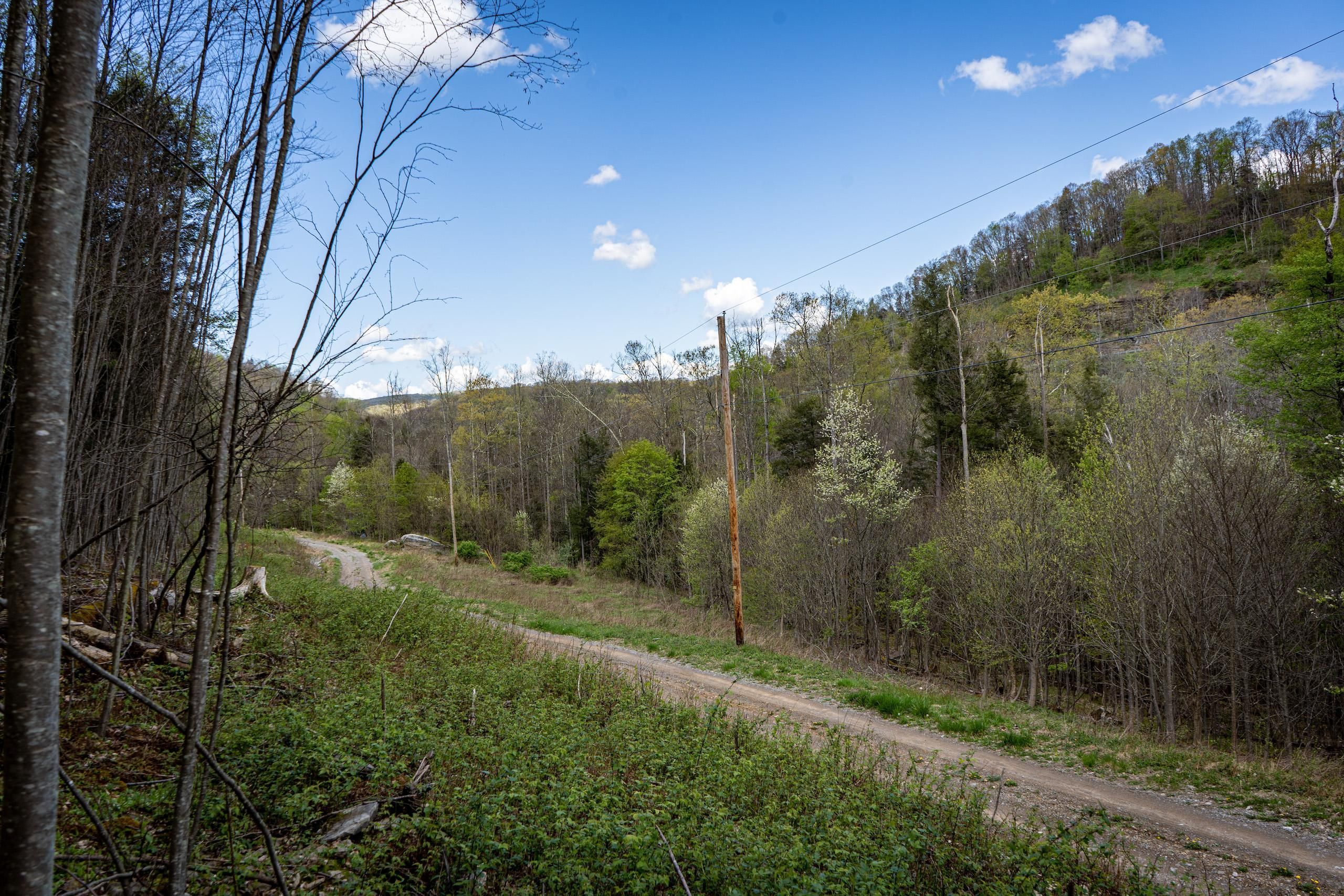 Preston County, WV Recreational Property, Timberland