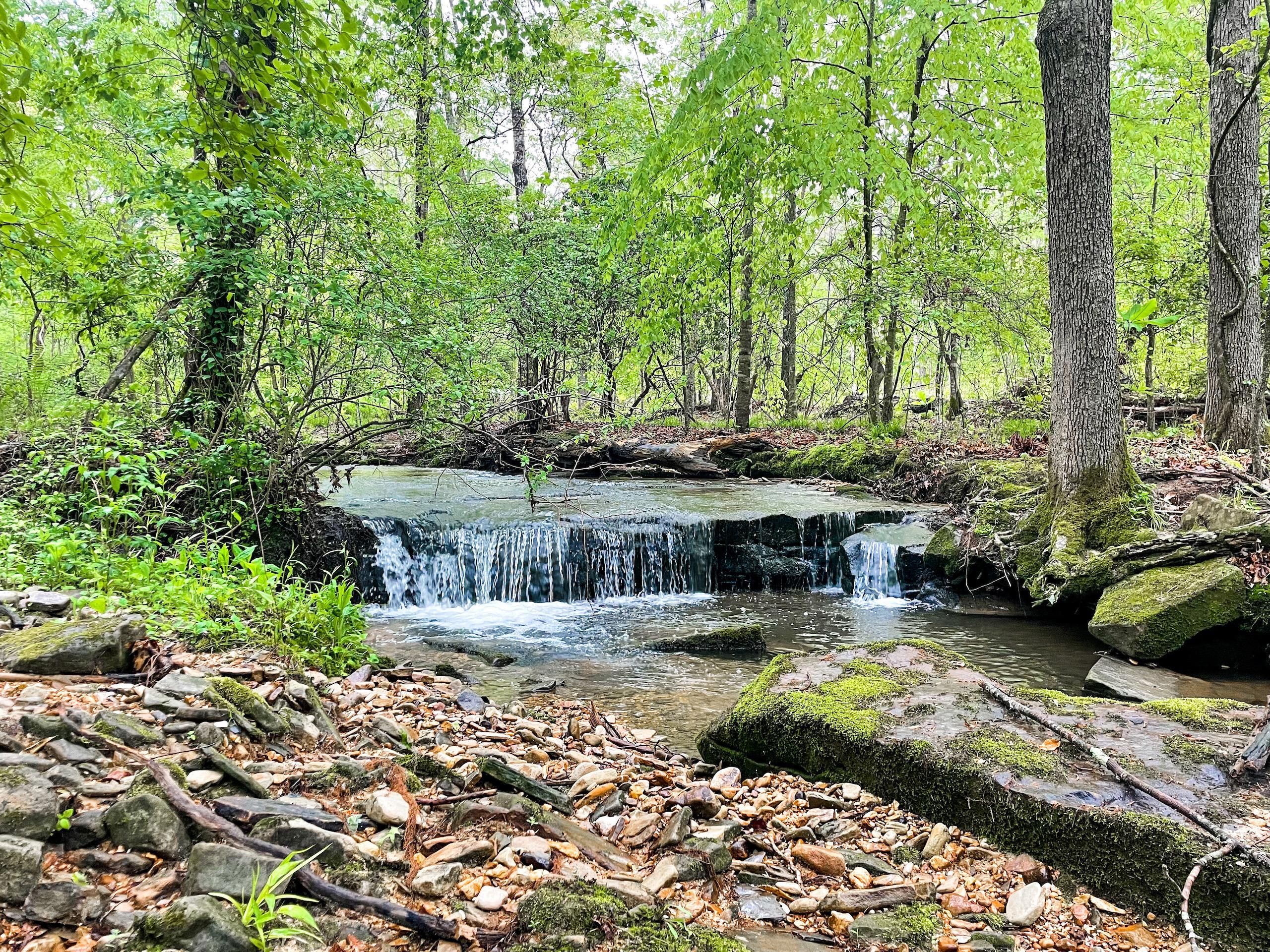 Phil Campbell, Franklin County, AL Recreational Property, Timberland