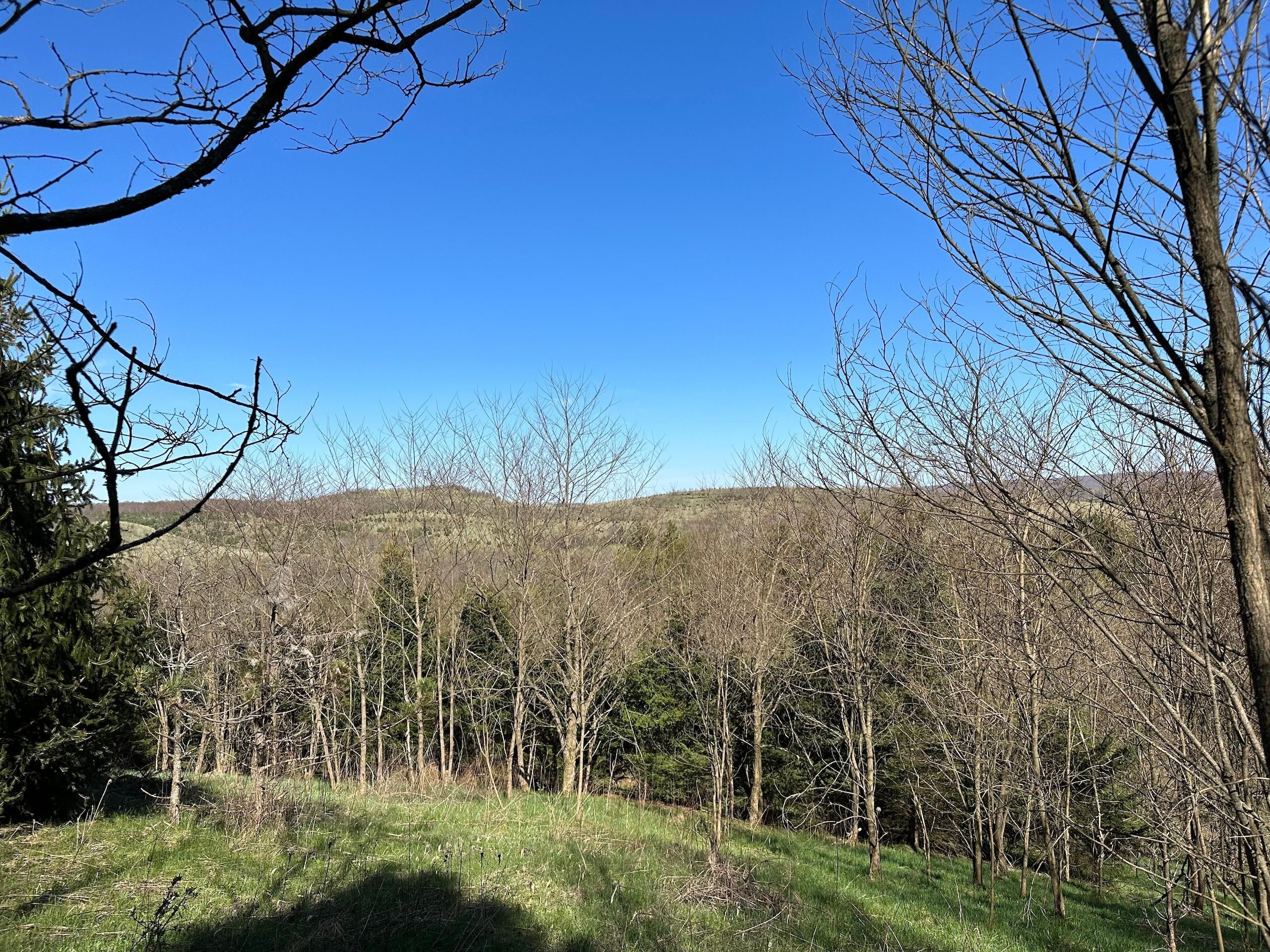 Brockport, Elk County, PA Recreational Property, Timberland Property