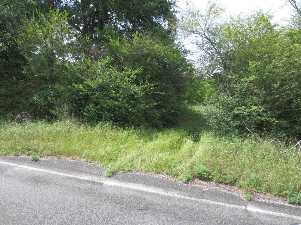 Columbia, Marion County, MS Recreational Property, Timberland Property