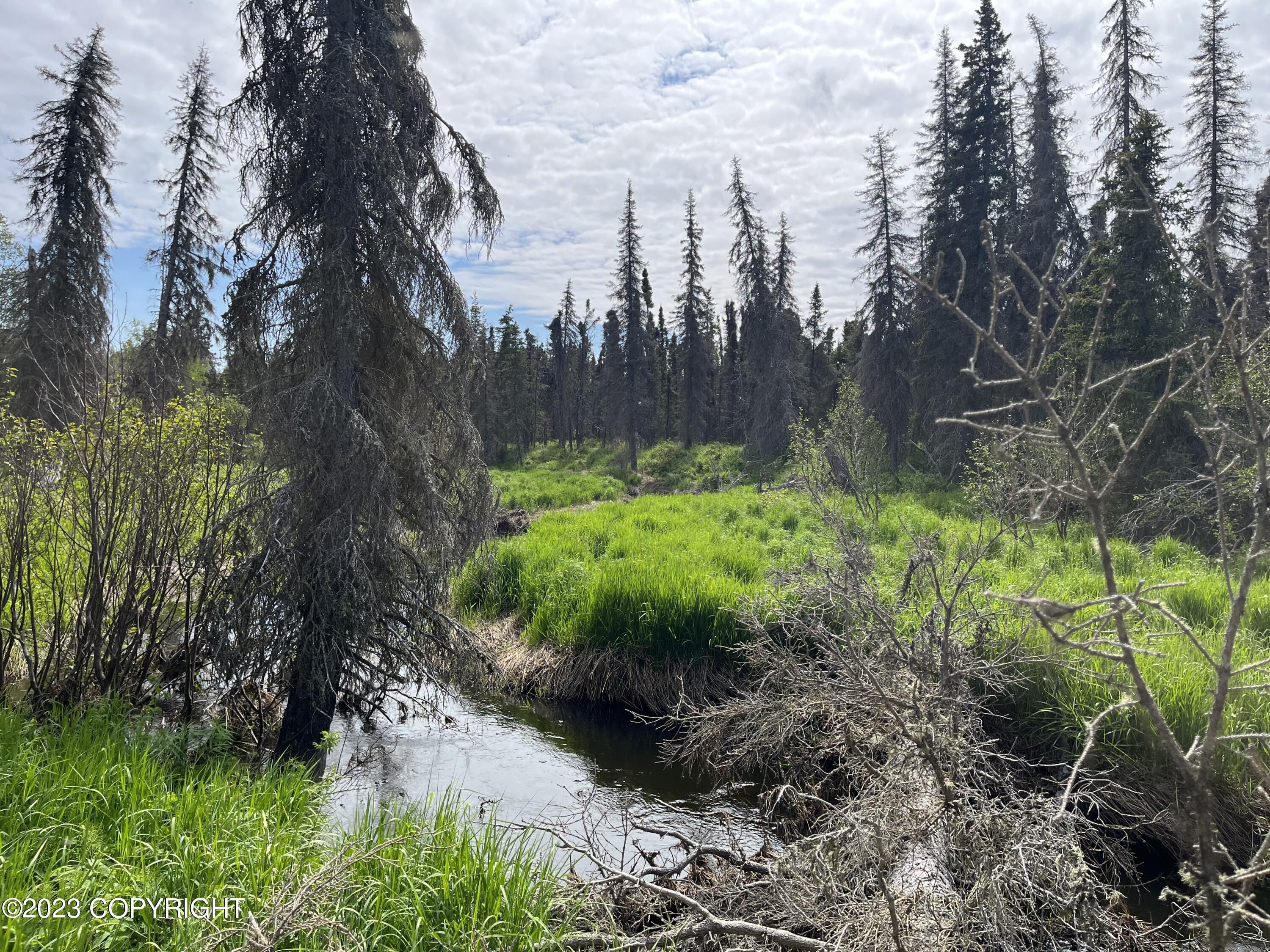 Kenai, Kenai Peninsula Borough, AK Undeveloped Land for sale Property