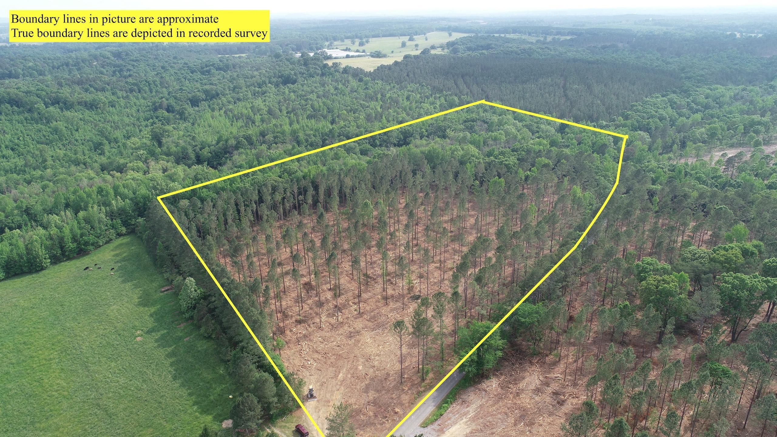 Cedartown, Polk County, GA Recreational Property, Timberland Property