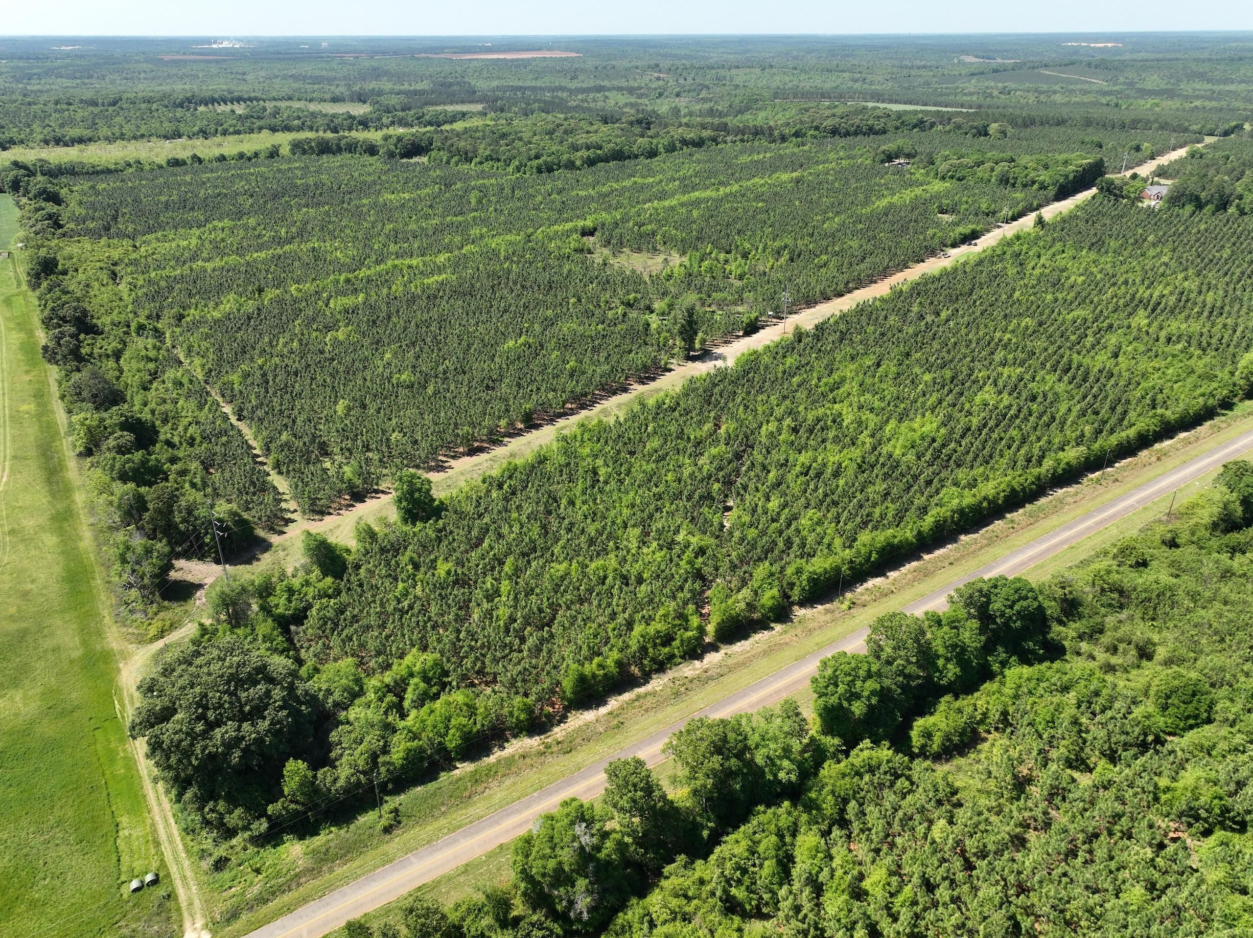 Andersonville, Macon County, GA Recreational Property, Timberland