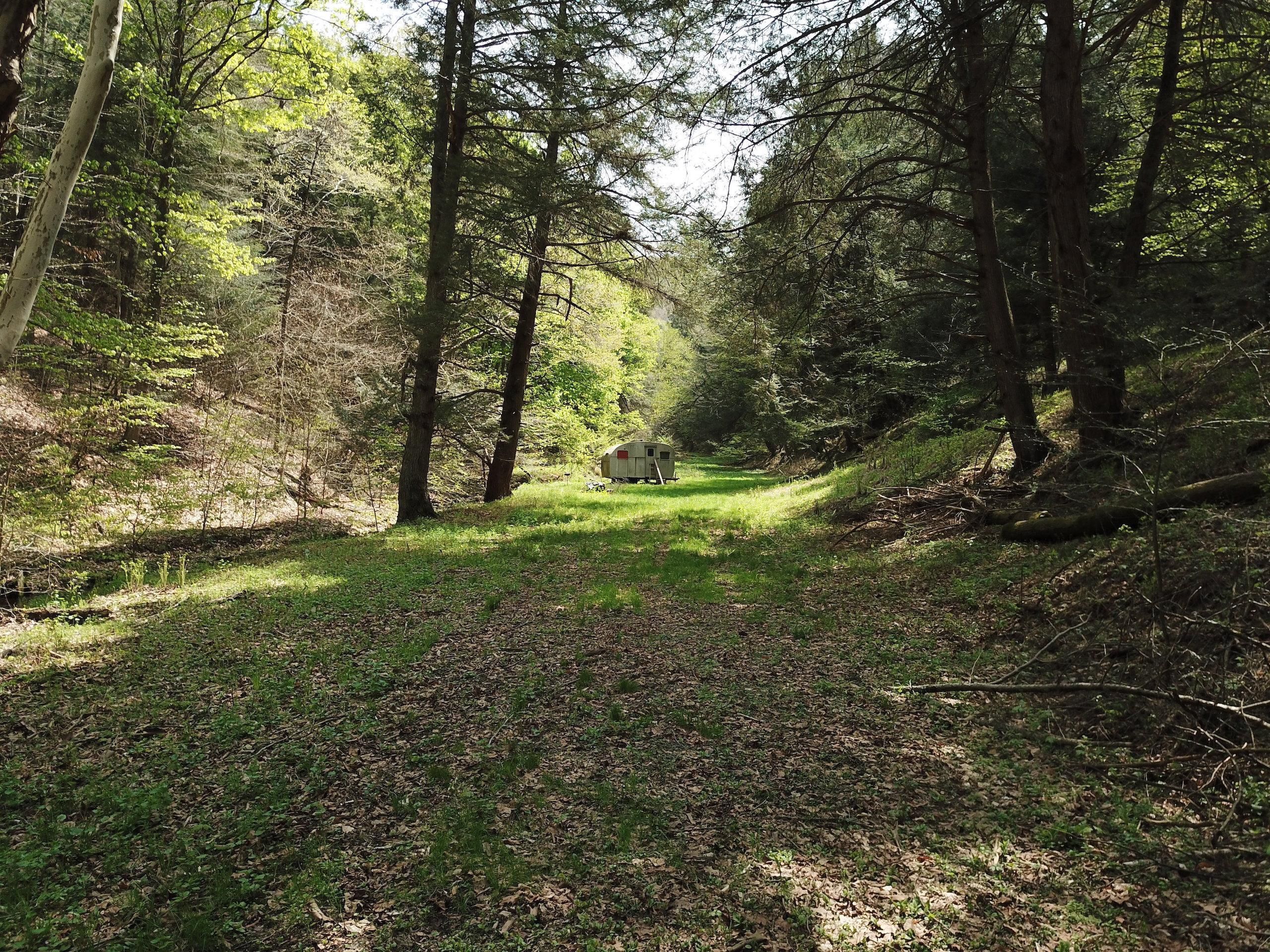 Austin, Potter County, PA Recreational Property, Timberland Property