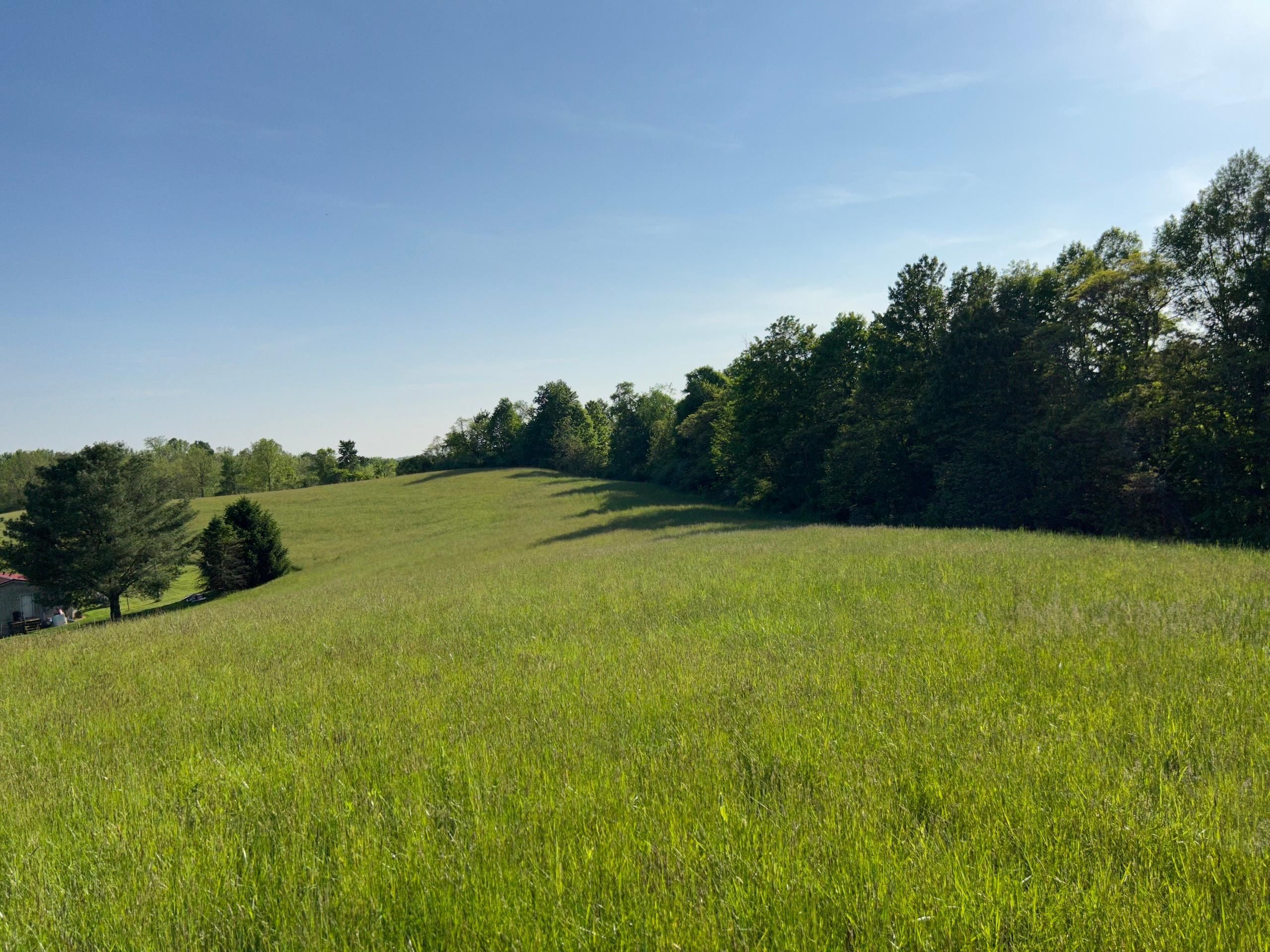Chesterhill, County, OH Recreational Property, Timberland