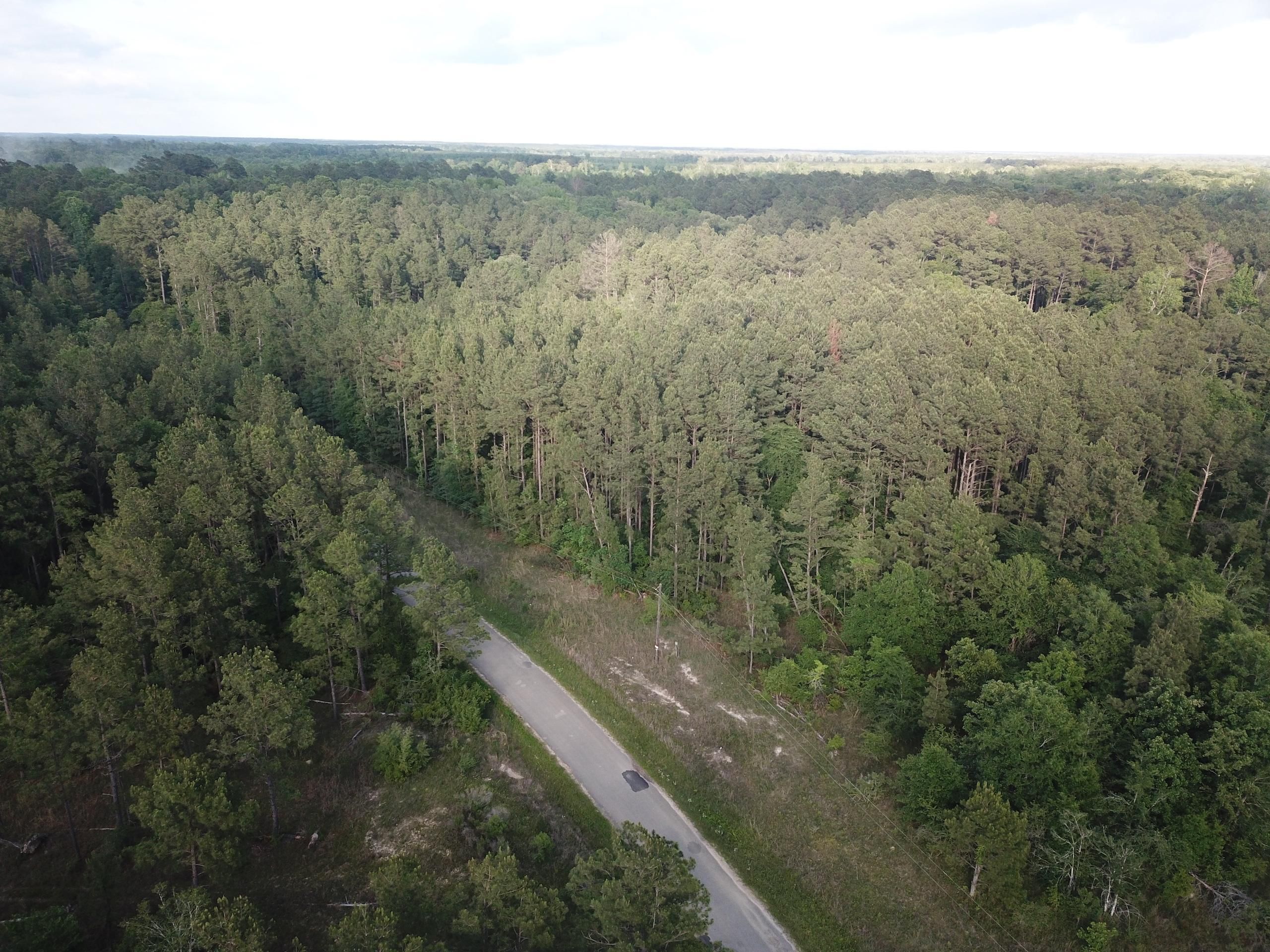 Grayson, Caldwell Parish, LA Recreational Property, Timberland Property