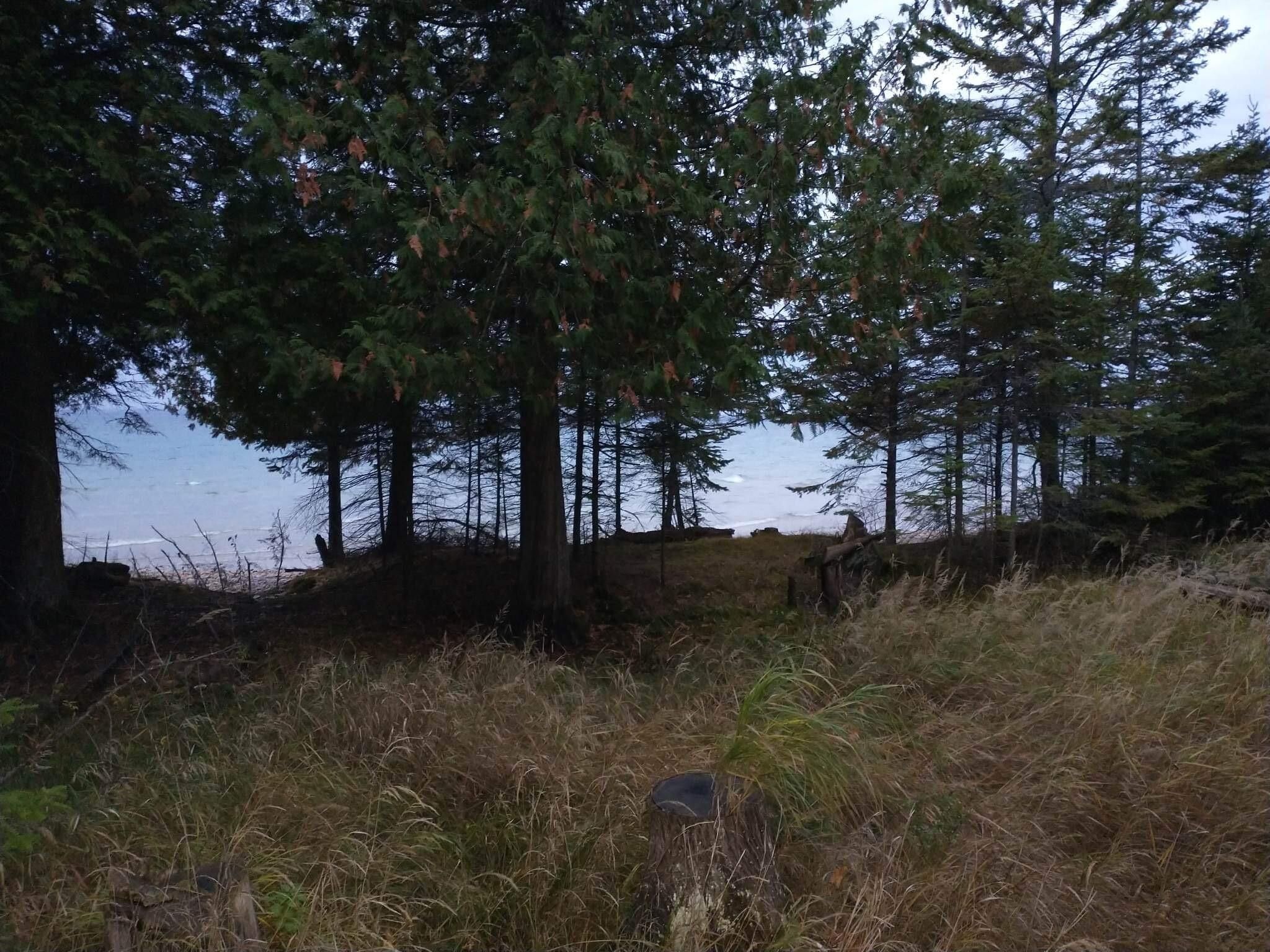 Bois Blanc Island, Mackinac County, MI Undeveloped Land, Homesites for