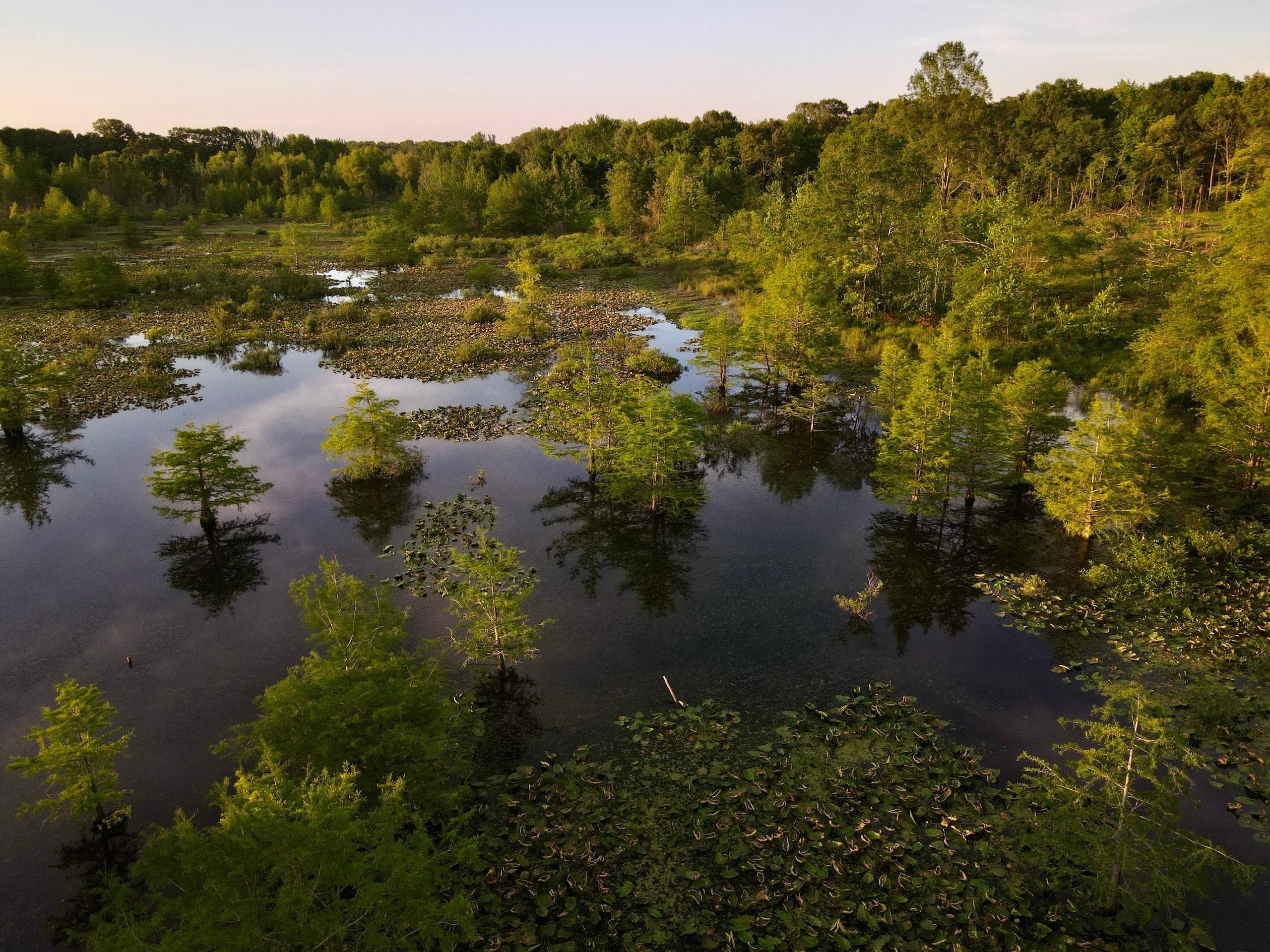 Perry, Conway County, AR Recreational Property, Undeveloped Land