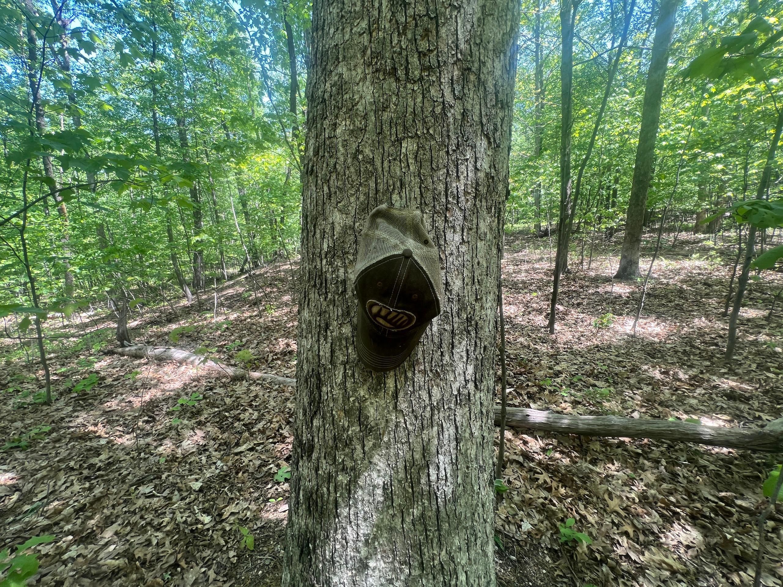 Plains, Luzerne County, PA Recreational Property, Timberland Property