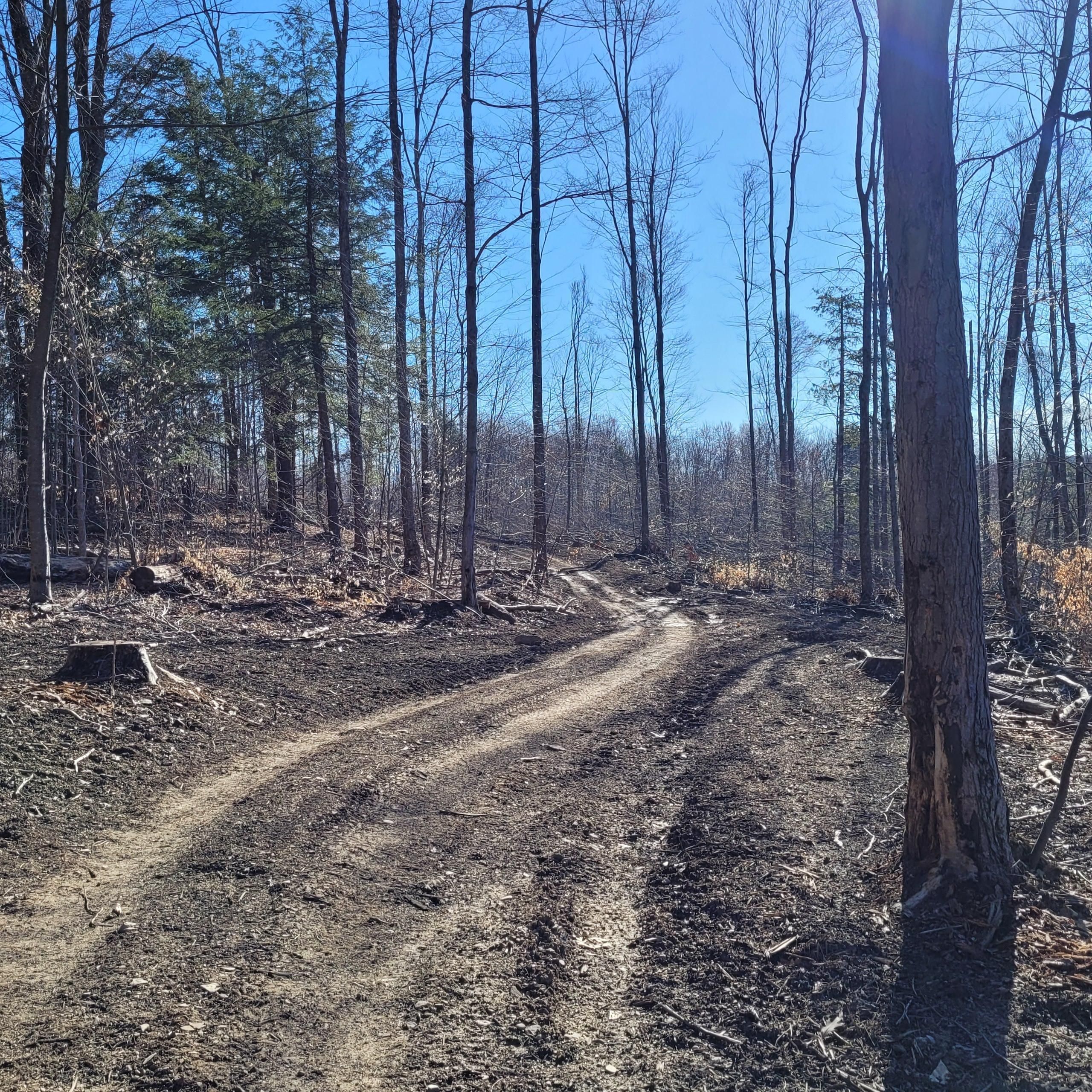 Greene, Chenango County, NY Recreational Property, Timberland Property, Hunting Property for