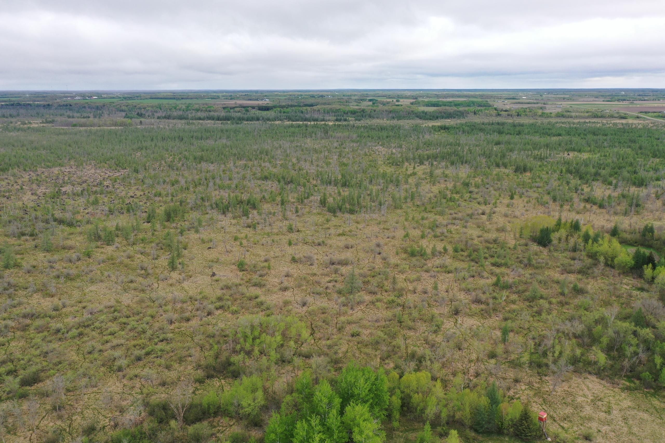 Deer Creek, Otter Tail County, MN Recreational Property, Hunting