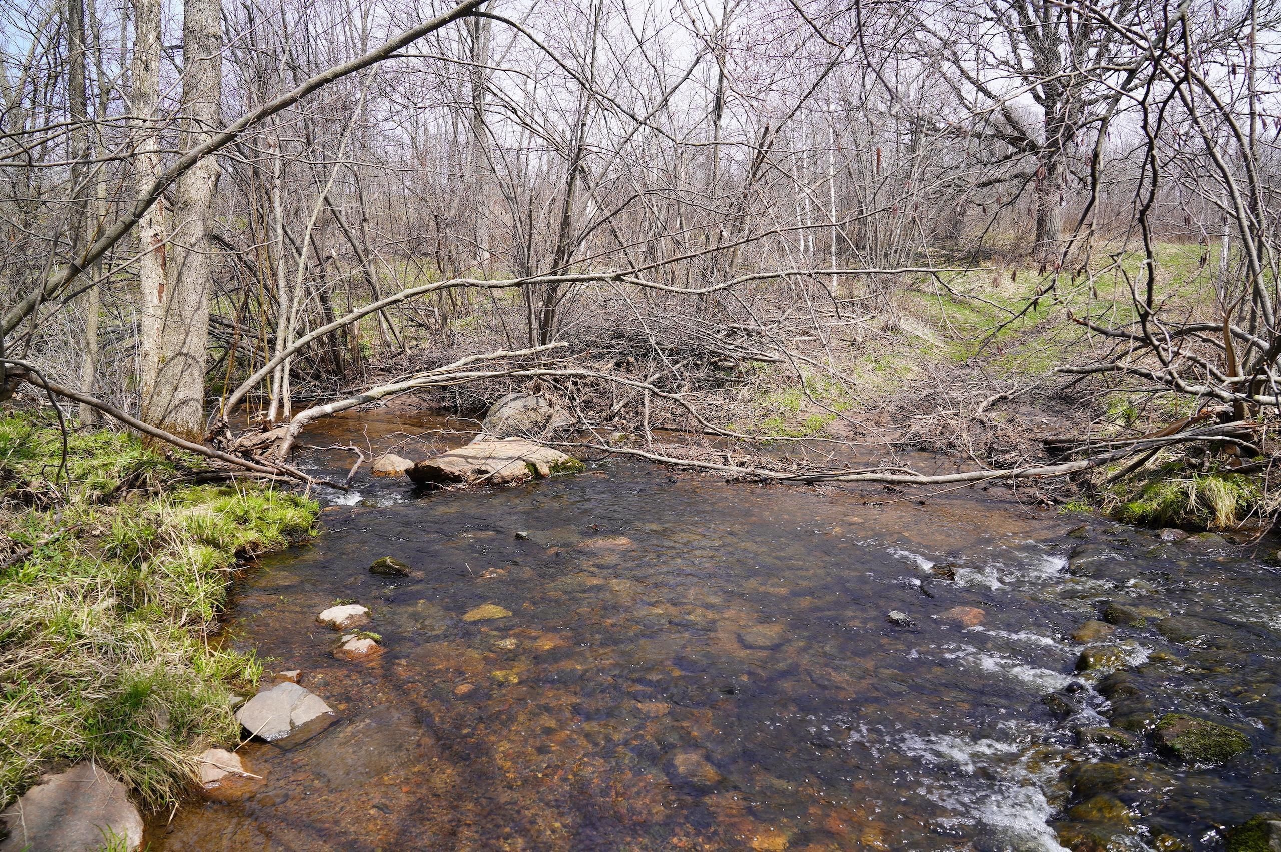 Boyd, Chippewa County, WI Recreational Property, Timberland Property