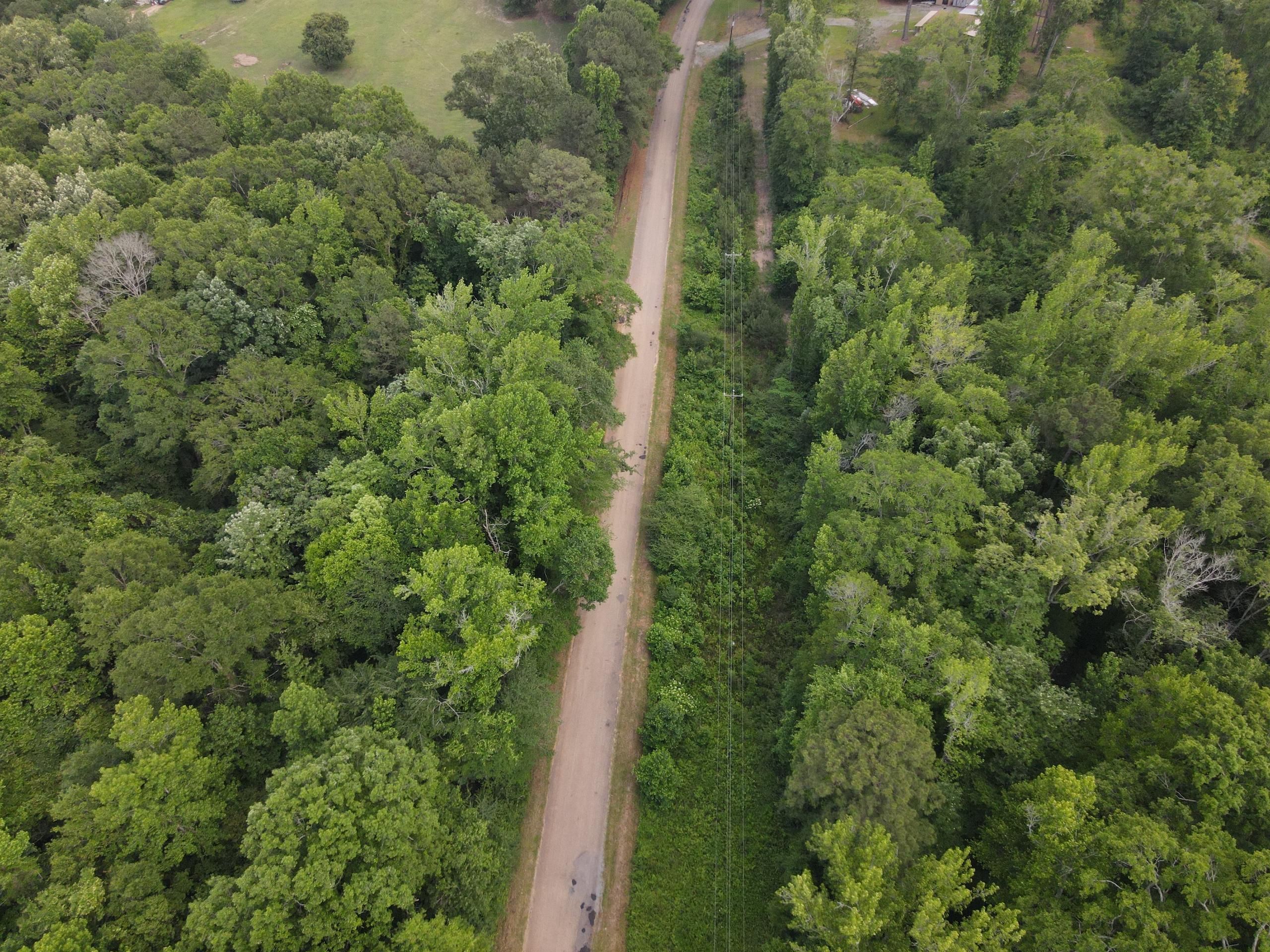 Spearsville, Union Parish, LA Recreational Property, Timberland