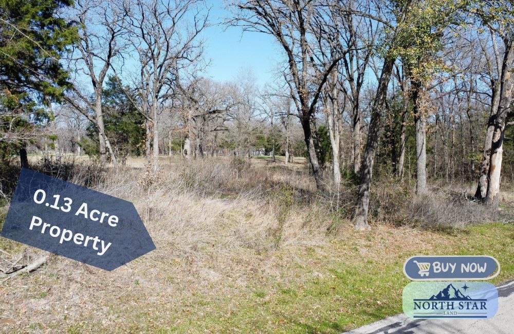 Trinidad, Henderson County, TX Recreational Property, Undeveloped Land