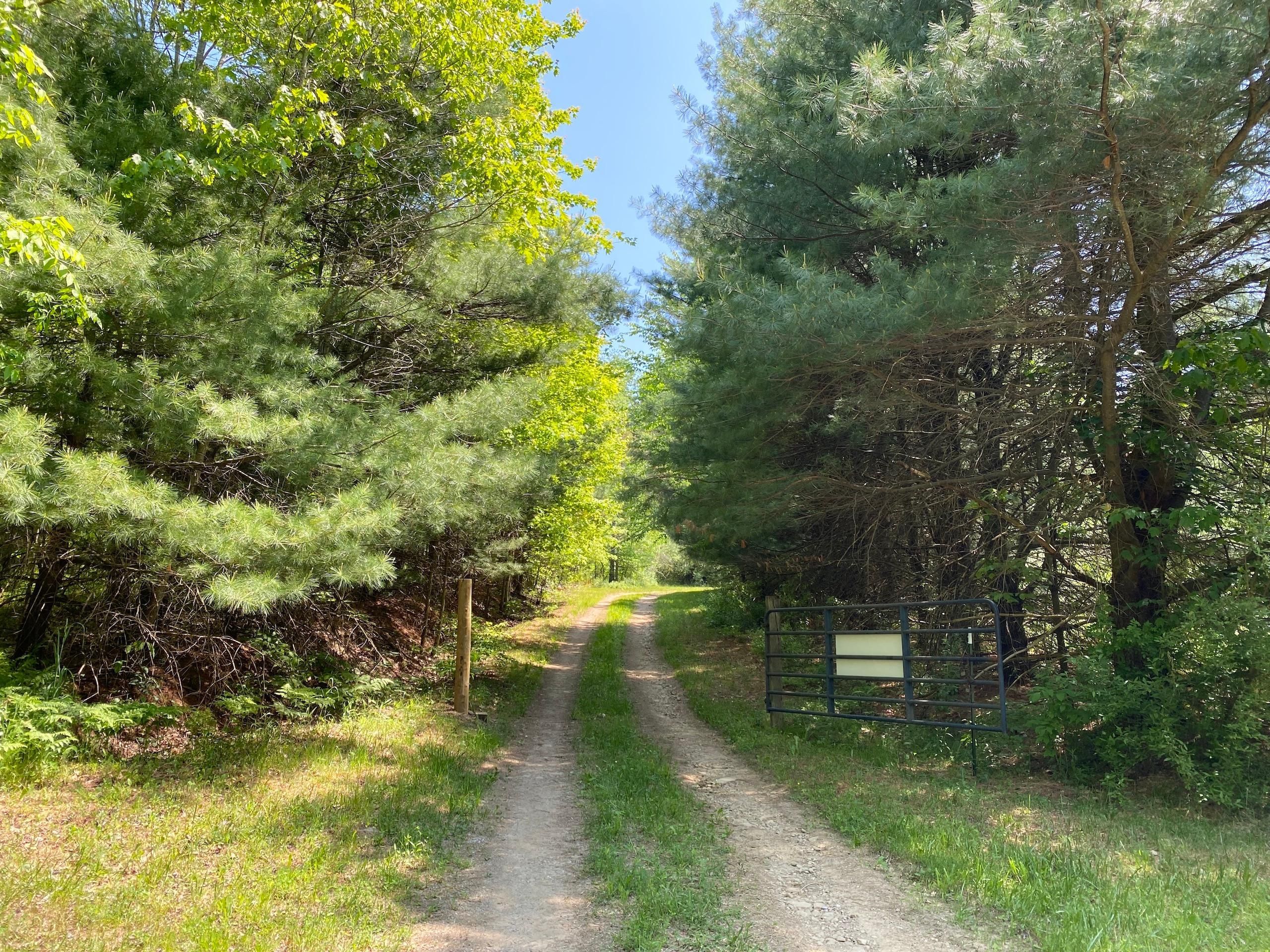 Gipsy, Indiana County, PA Recreational Property, Timberland Property