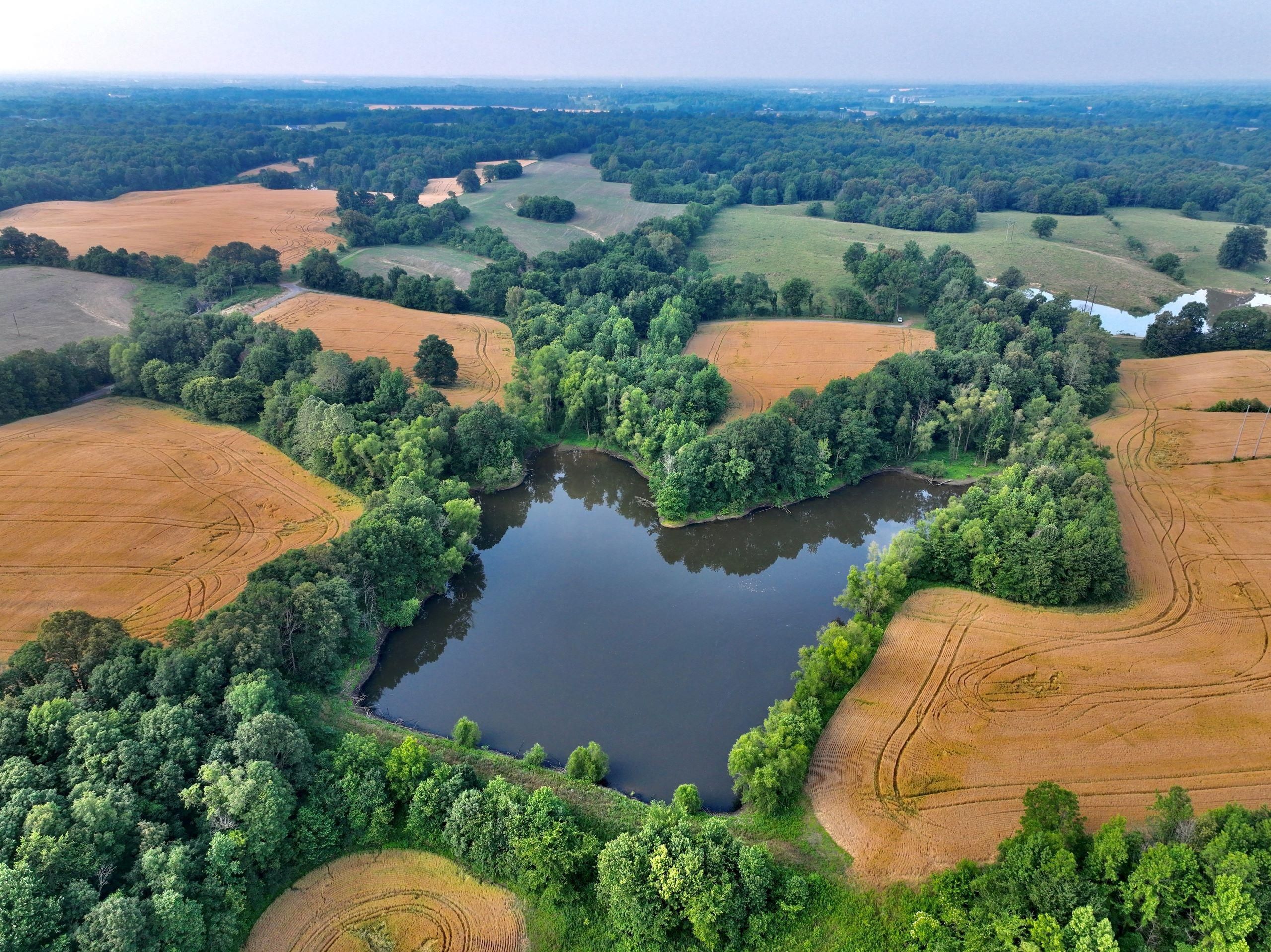 Bardwell, Carlisle County, KY Farms and Ranches, Recreational Property