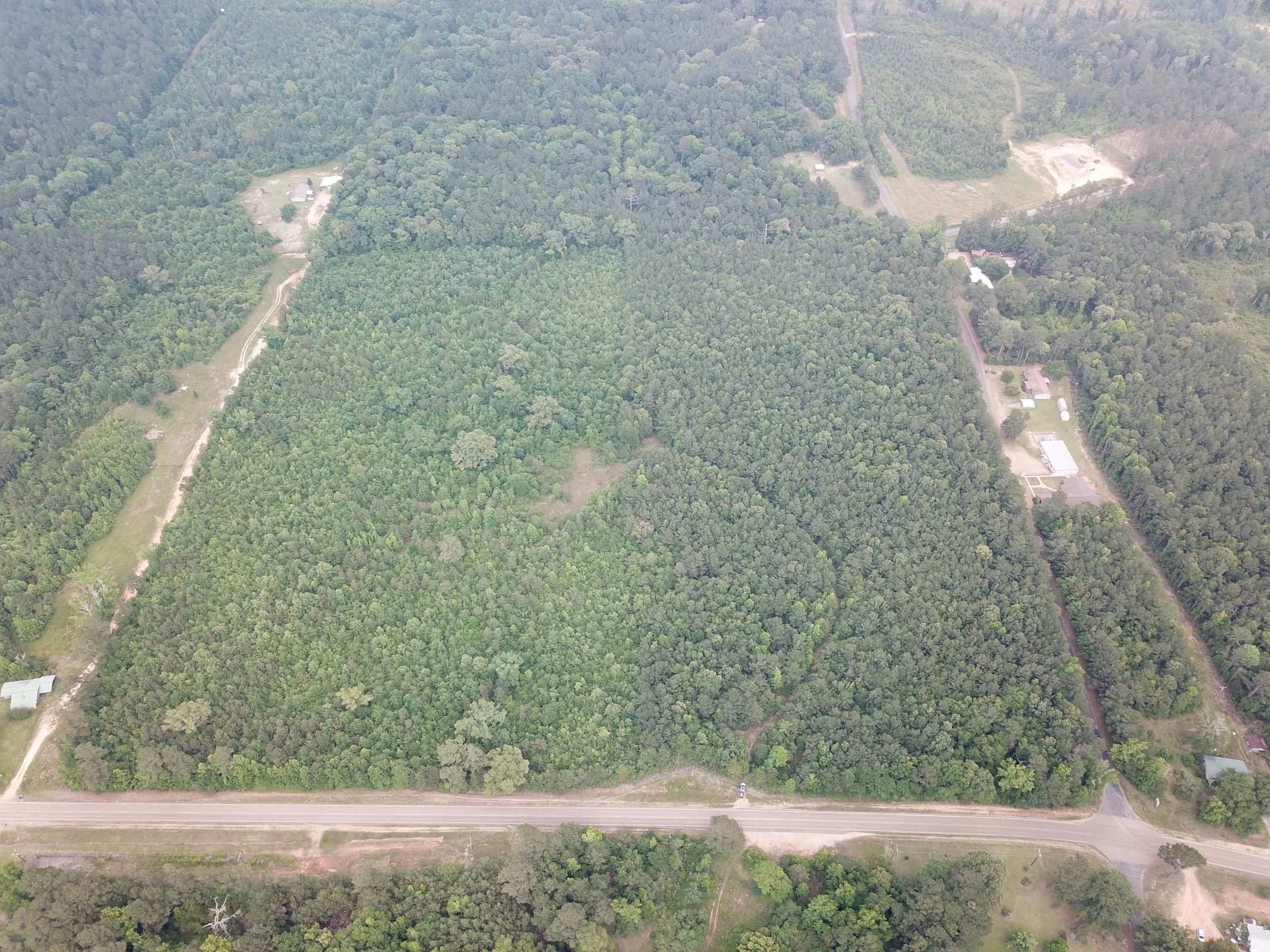 Castor, Bienville Parish, LA Recreational Property, Timberland Property