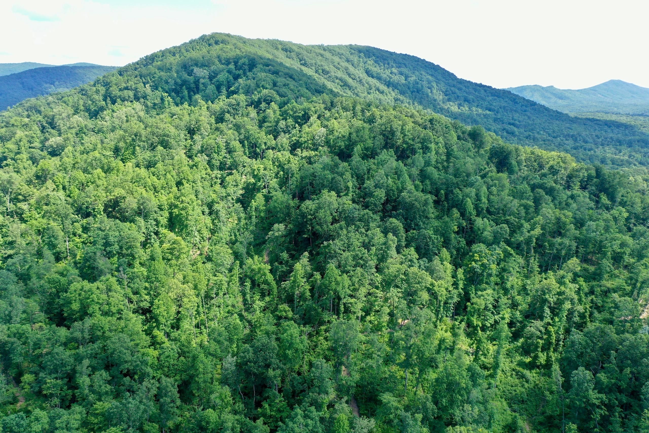 Mill Creek Road, LotWP001, Sunbright, TN 37872 LandWatch