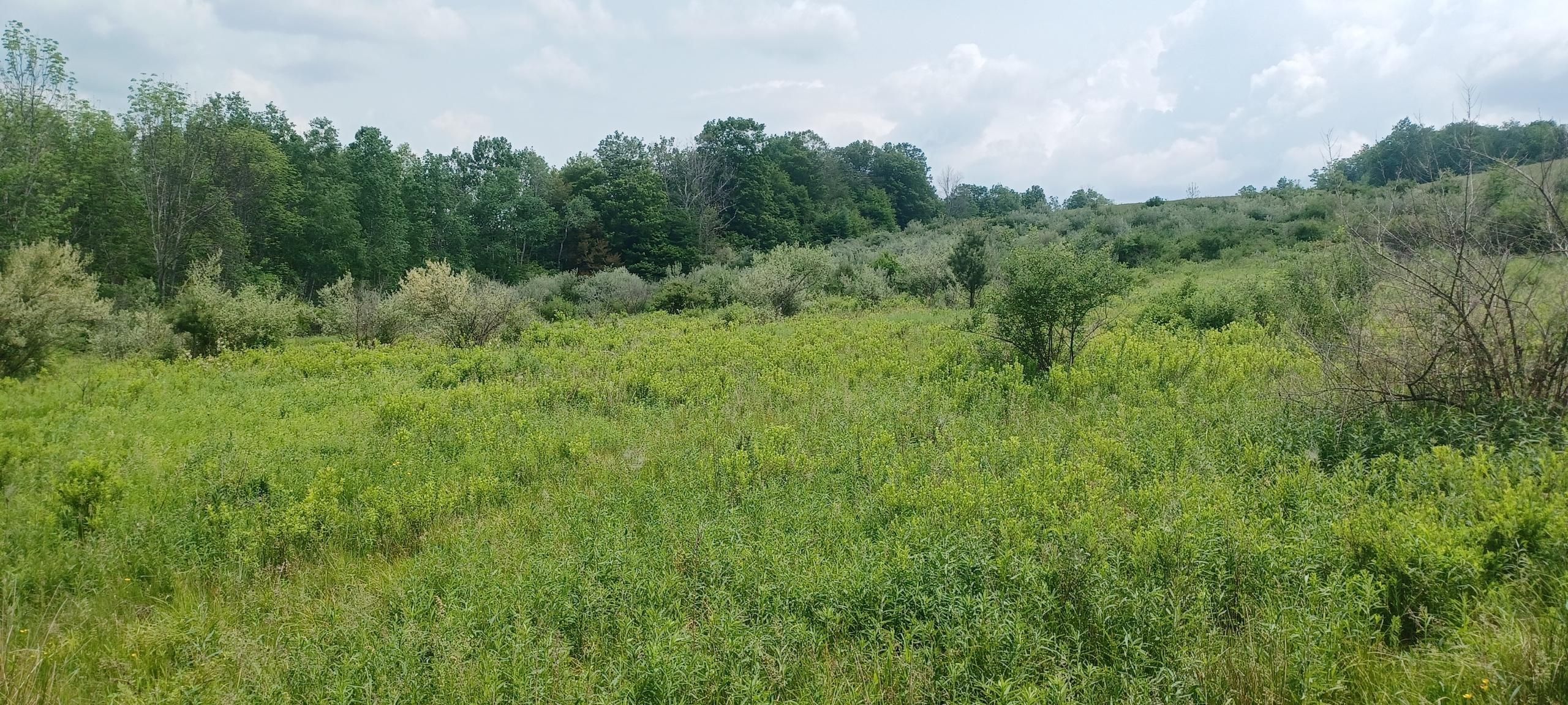 Wellsboro, Tioga County, PA Recreational Property, Timberland Property