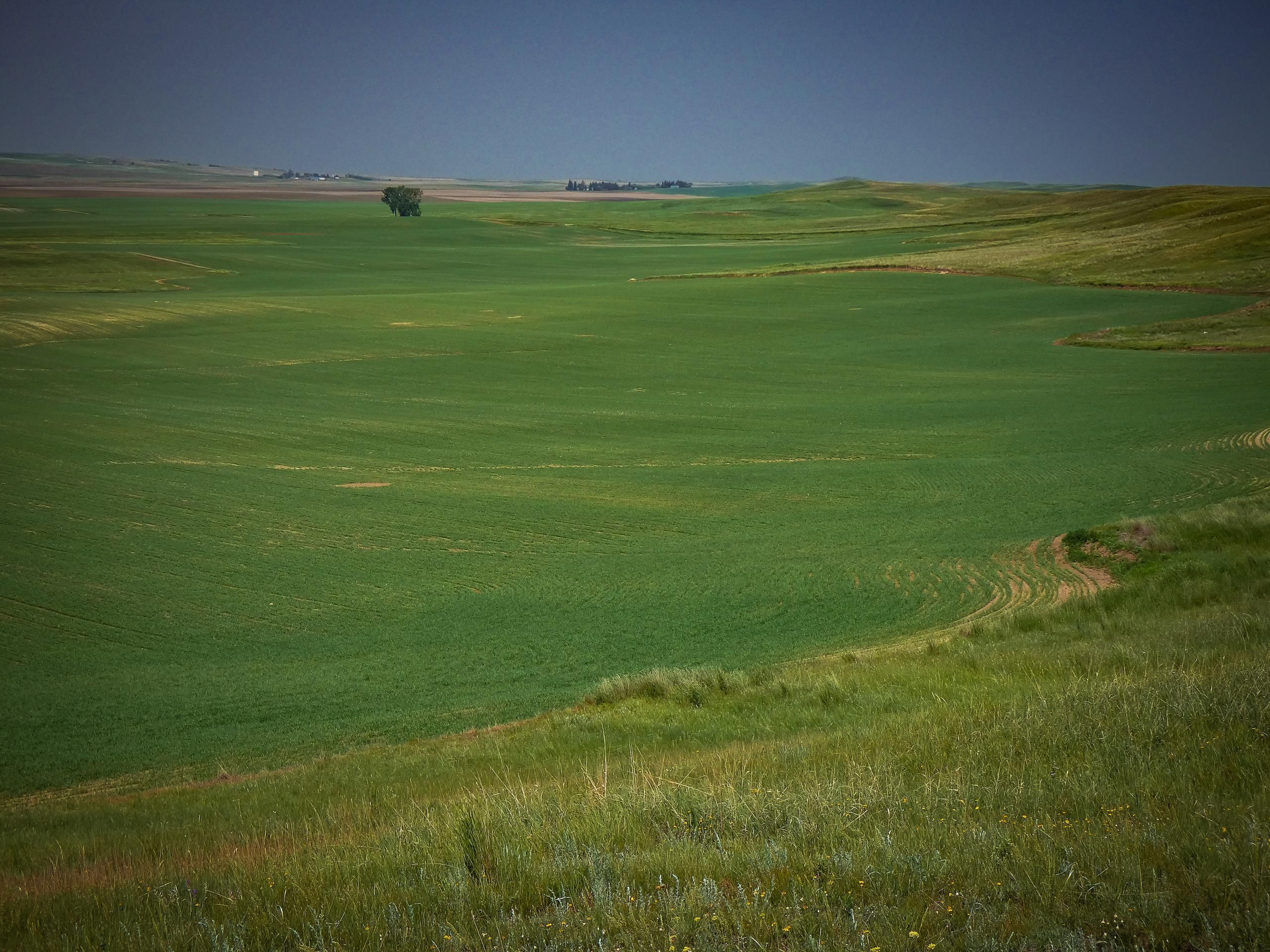 Bloomfield, Dawson County, MT Farms and Ranches, Recreational Property