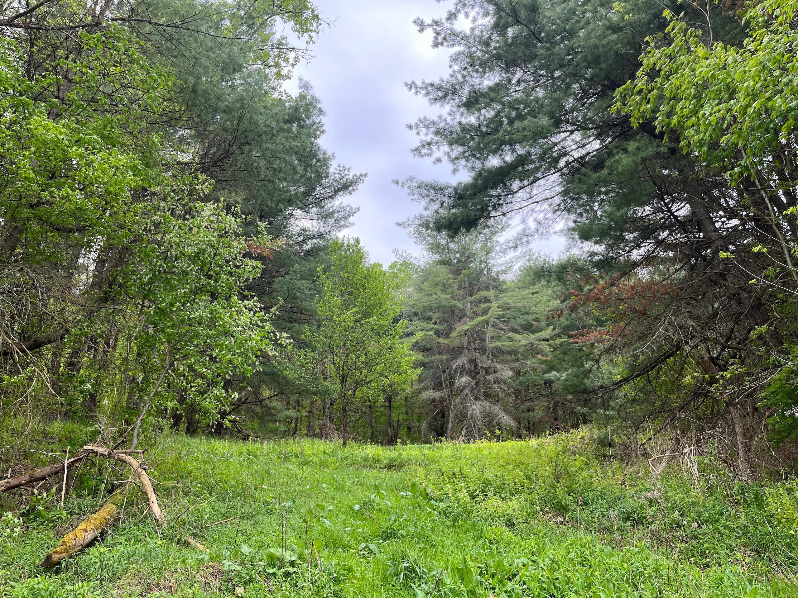 State Route 79, Richford, NY 13835 LandWatch