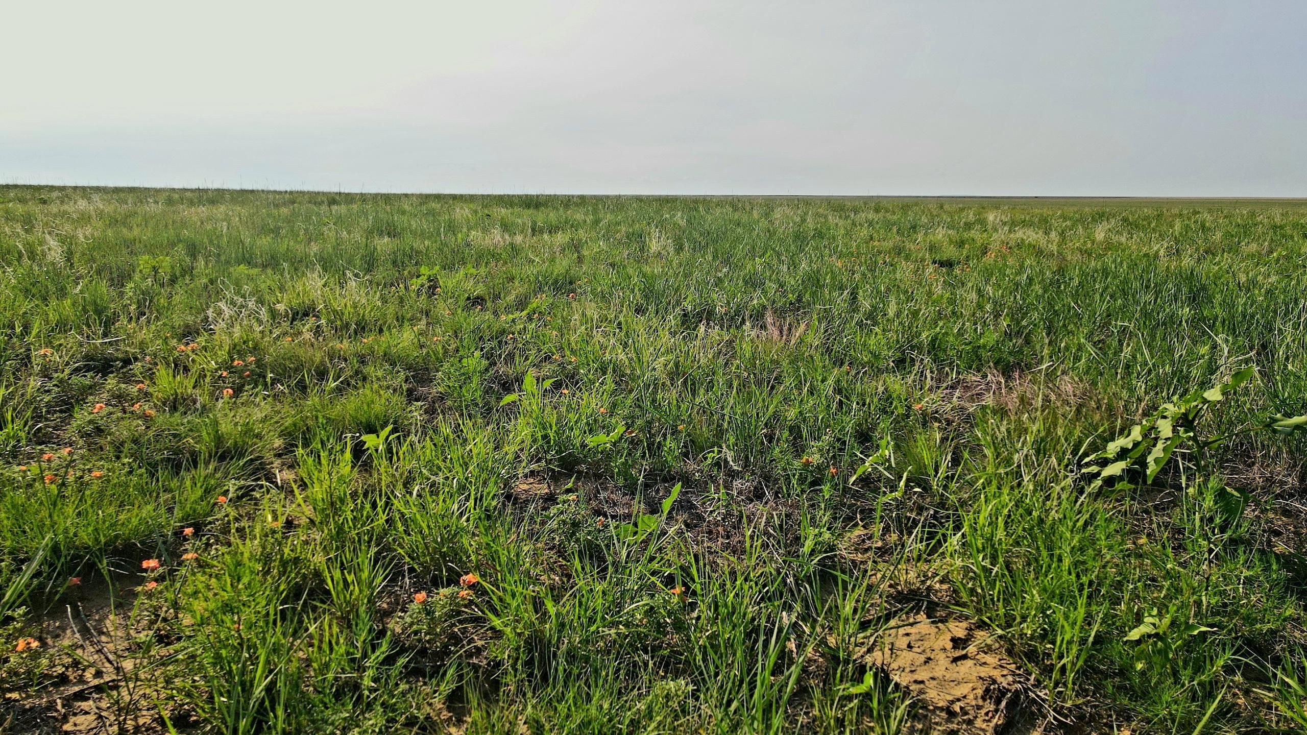 Arlington, Kiowa County, CO Farms and Ranches, Recreational Property