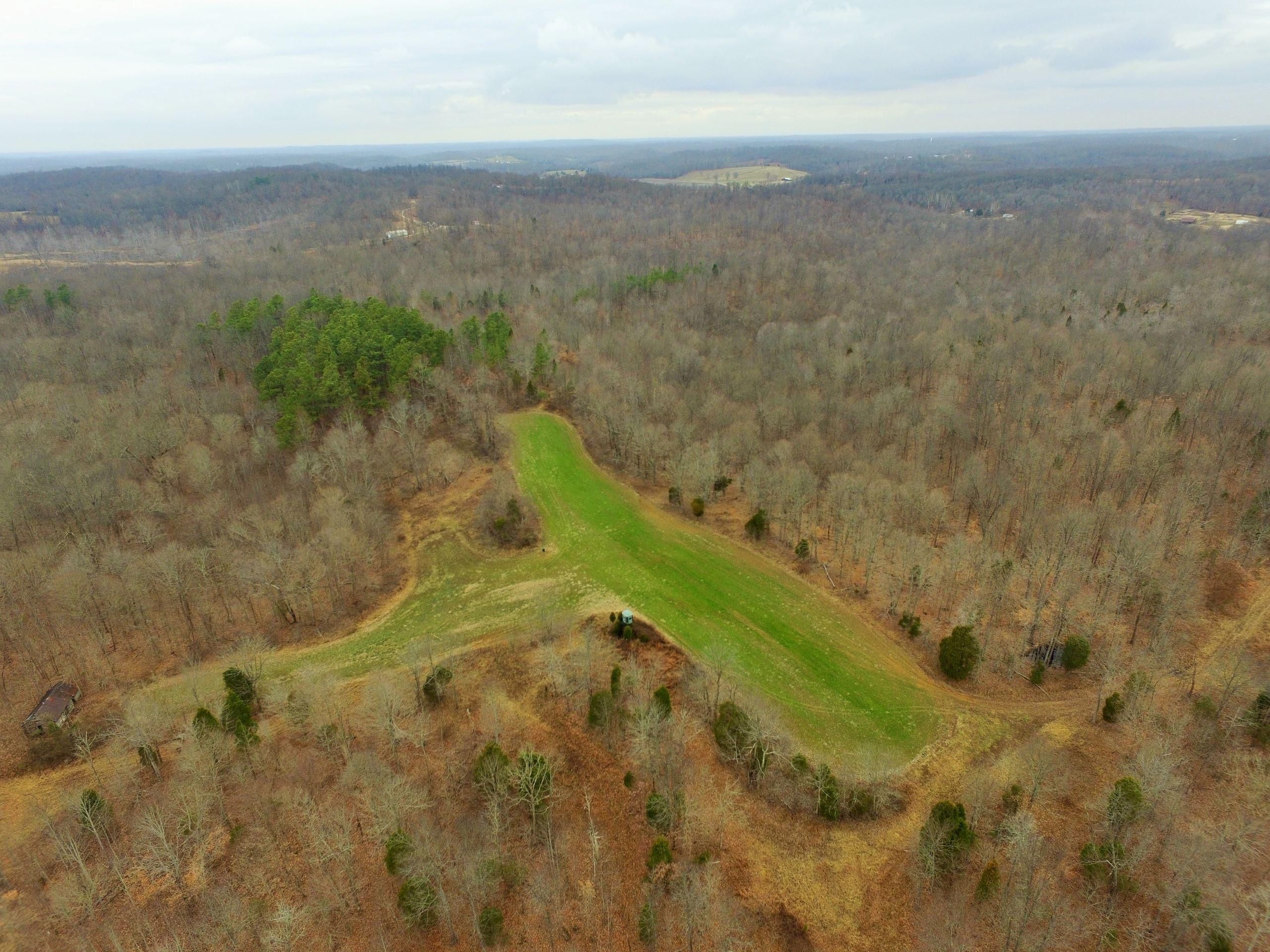 Reynolds Station, Hancock County, KY Recreational Property, Timberland