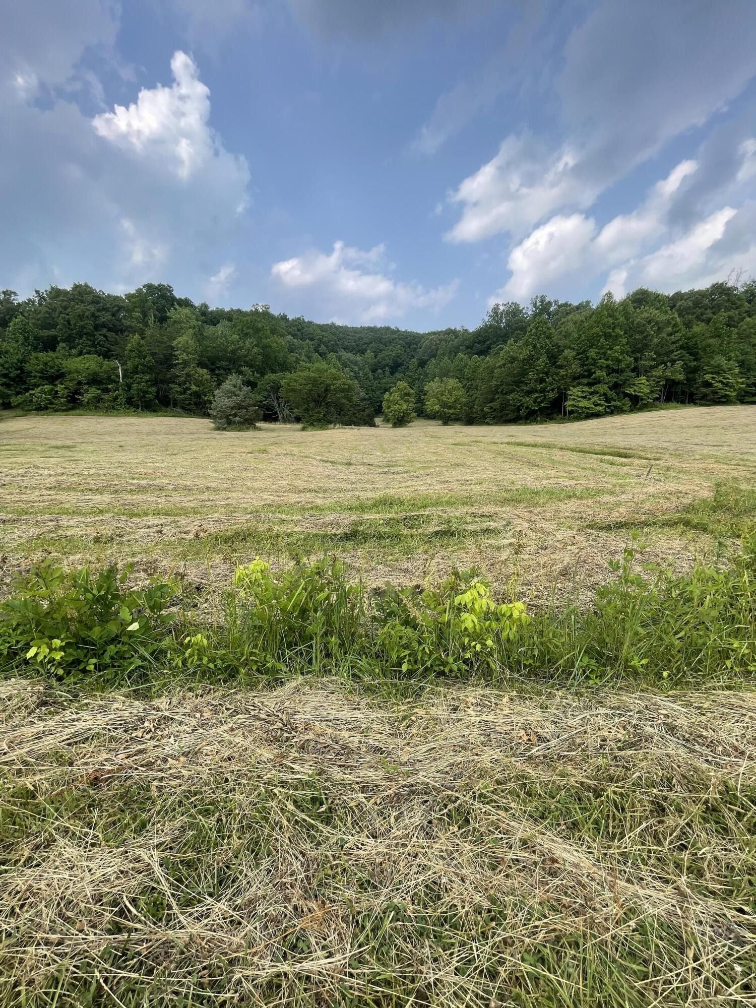 Heidrick, Knox County, KY Farms and Ranches for sale Property ID